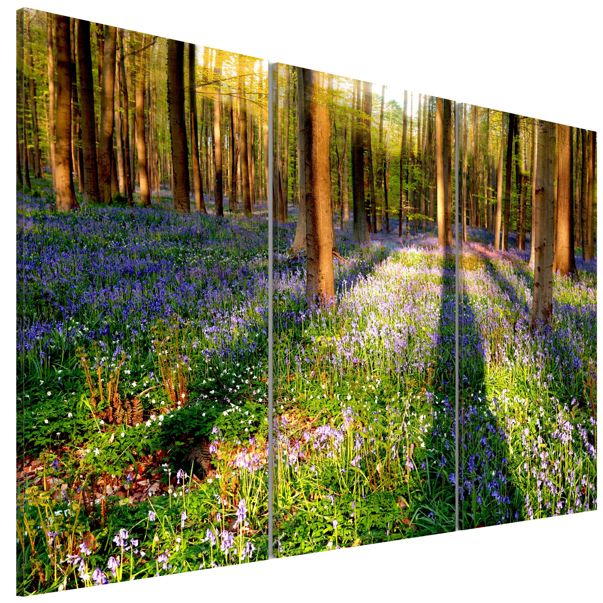 Tablou canvas 3 piese - Padurea de primavara - 120 x 80 cm