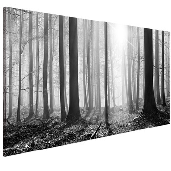Tablou canvas - Padurea alb-negru - 135 x 45 cm