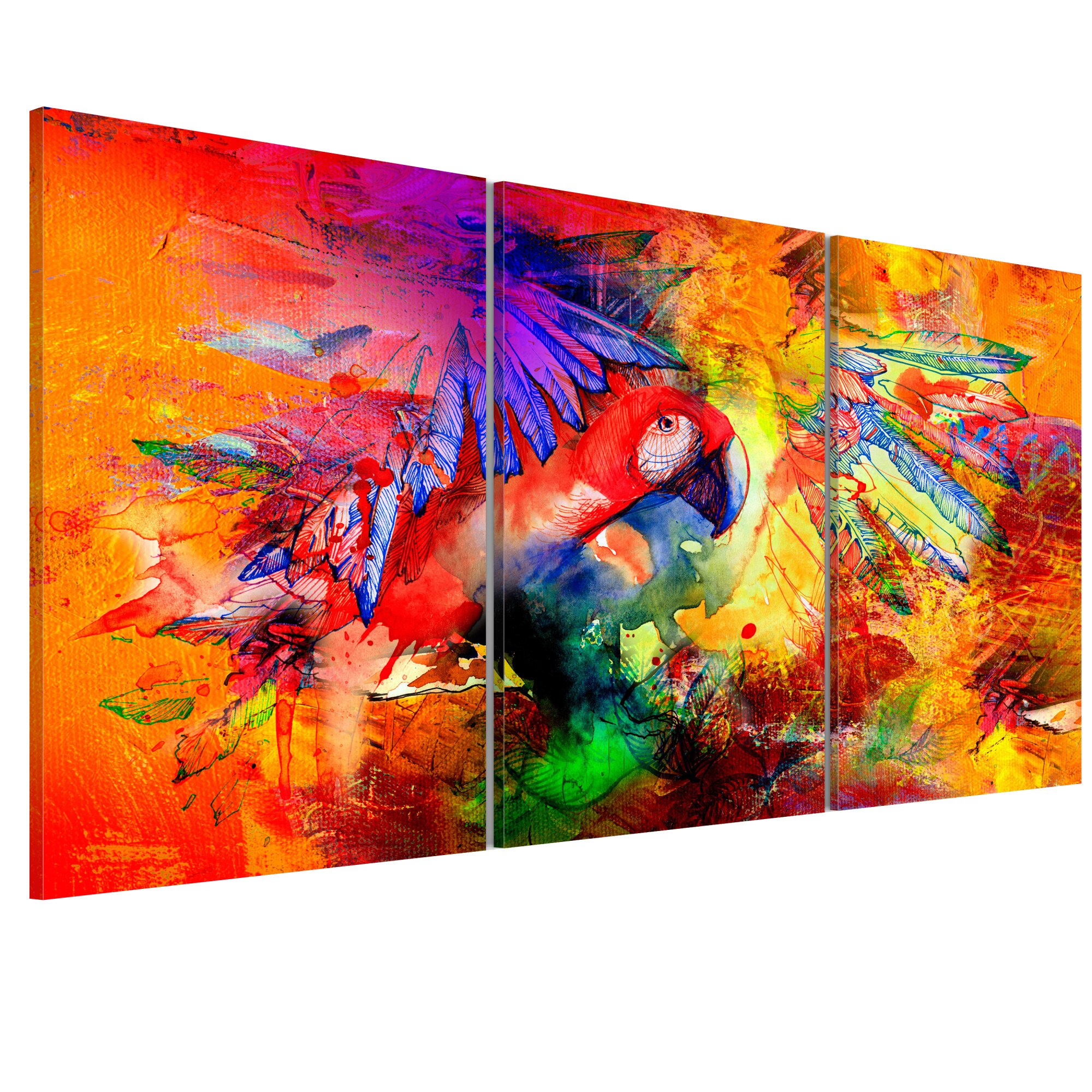 Tablou canvas 3 piese - Papagal colorat - 60 x 30 cm