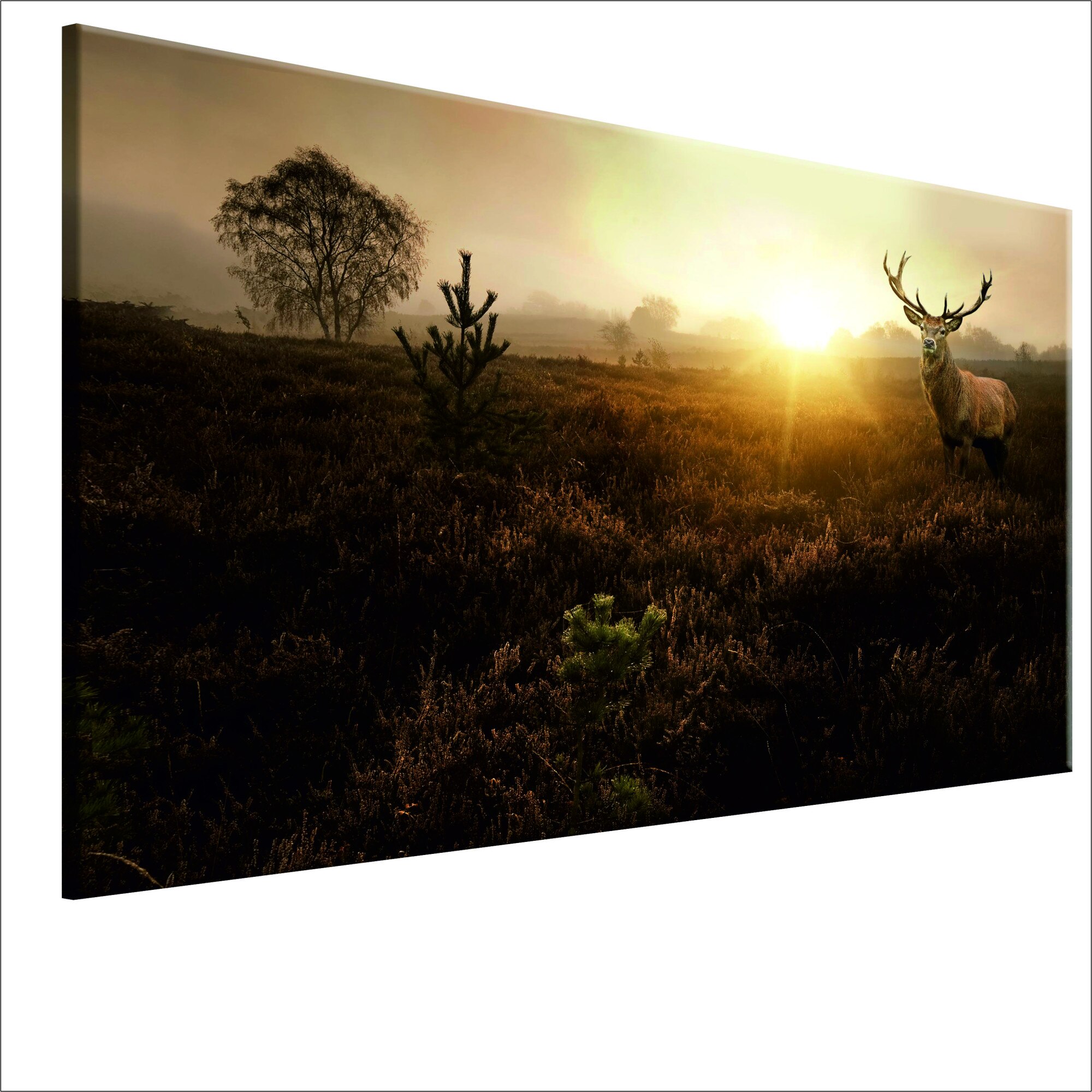 Tablou canvas - Foggy Field - 90 x 60 cm