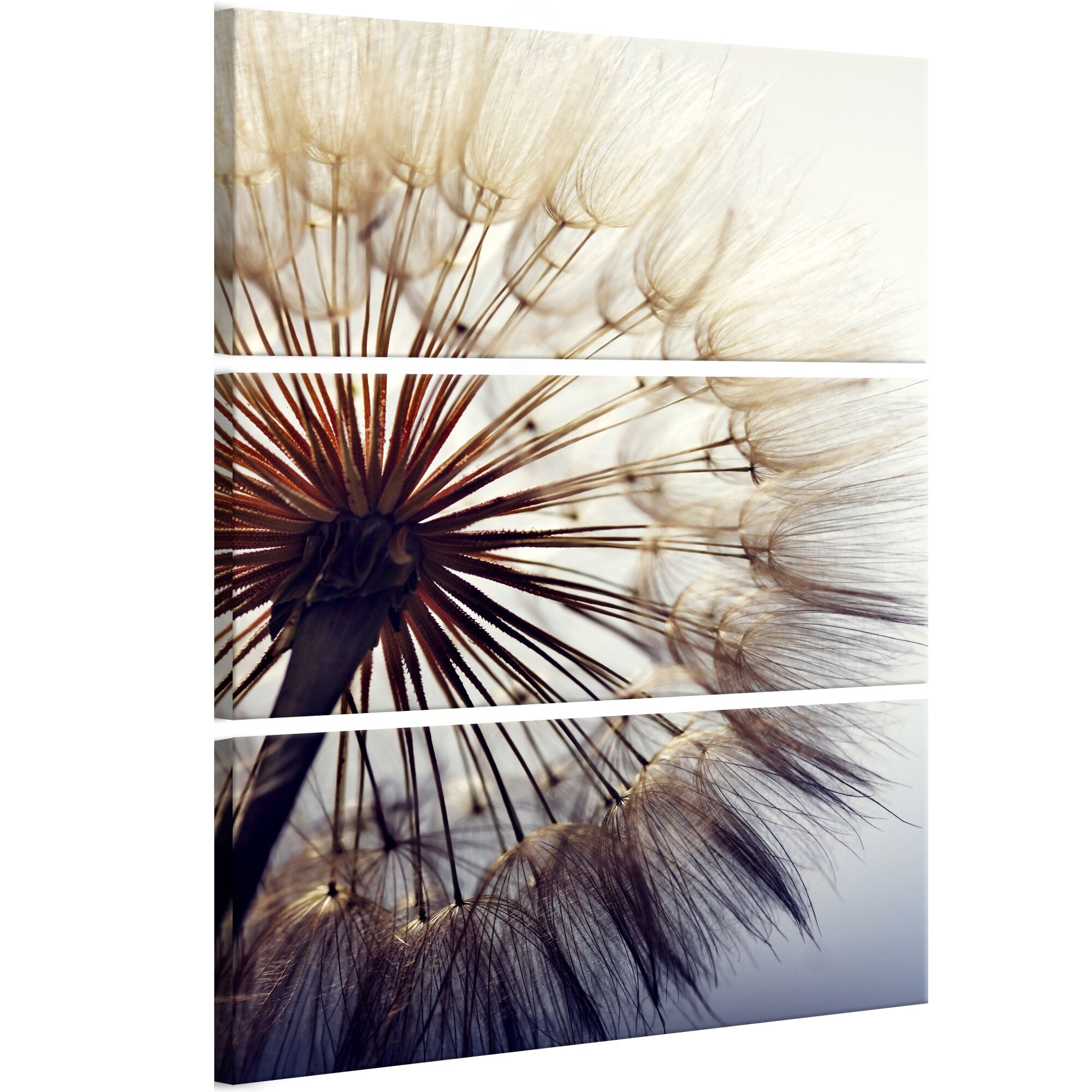 Tablou canvas 3 piese - Frumoasa vara I - 80 x 120 cm
