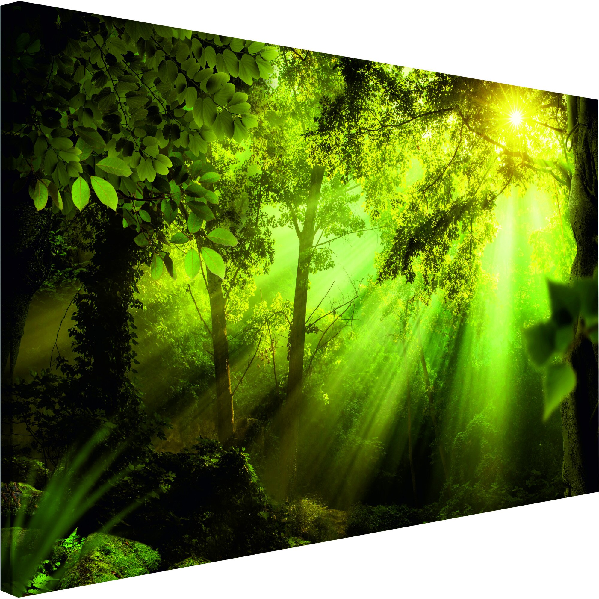 Tablou canvas - In Sunshine Wide - 120 x 80 cm