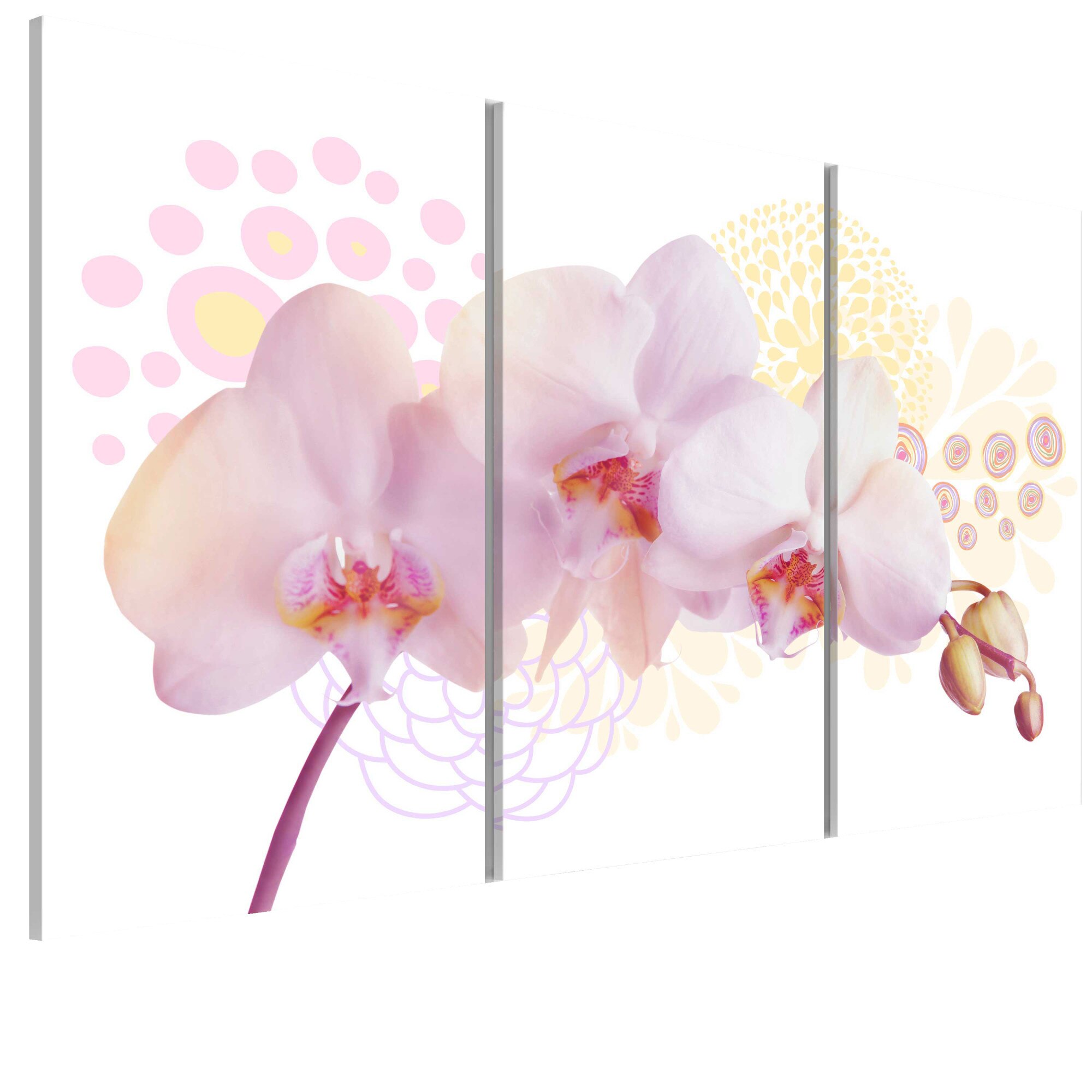 Tablou canvas 3 piese - Doamna Alba - 90 x 60 cm