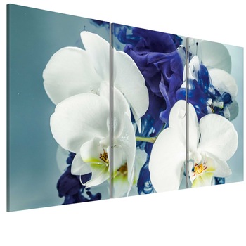 Tablou canvas 3 piese - Orhidee chimerice - 90 x 60 cm Tablou canvas 3 piese - Orhidee chimerice - 90 x 60 cm