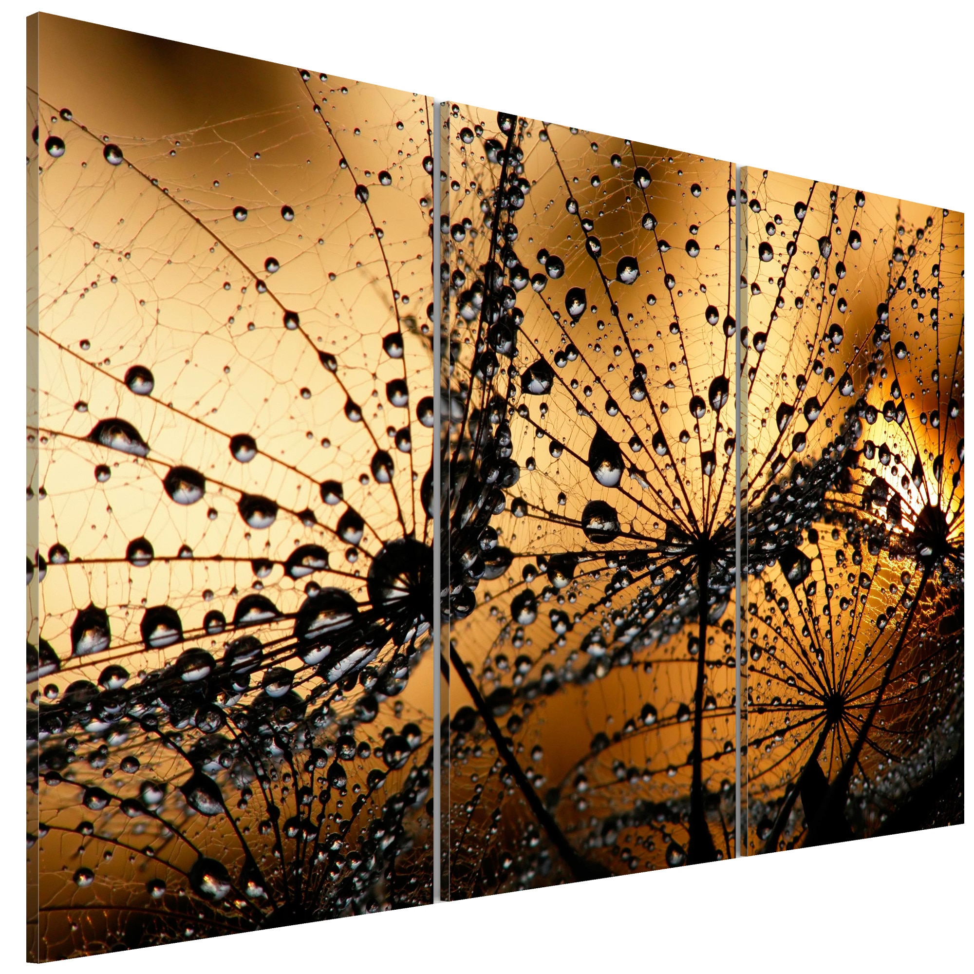 Tablou canvas 3 piese - Papadia Si roua - 90 x 60 cm