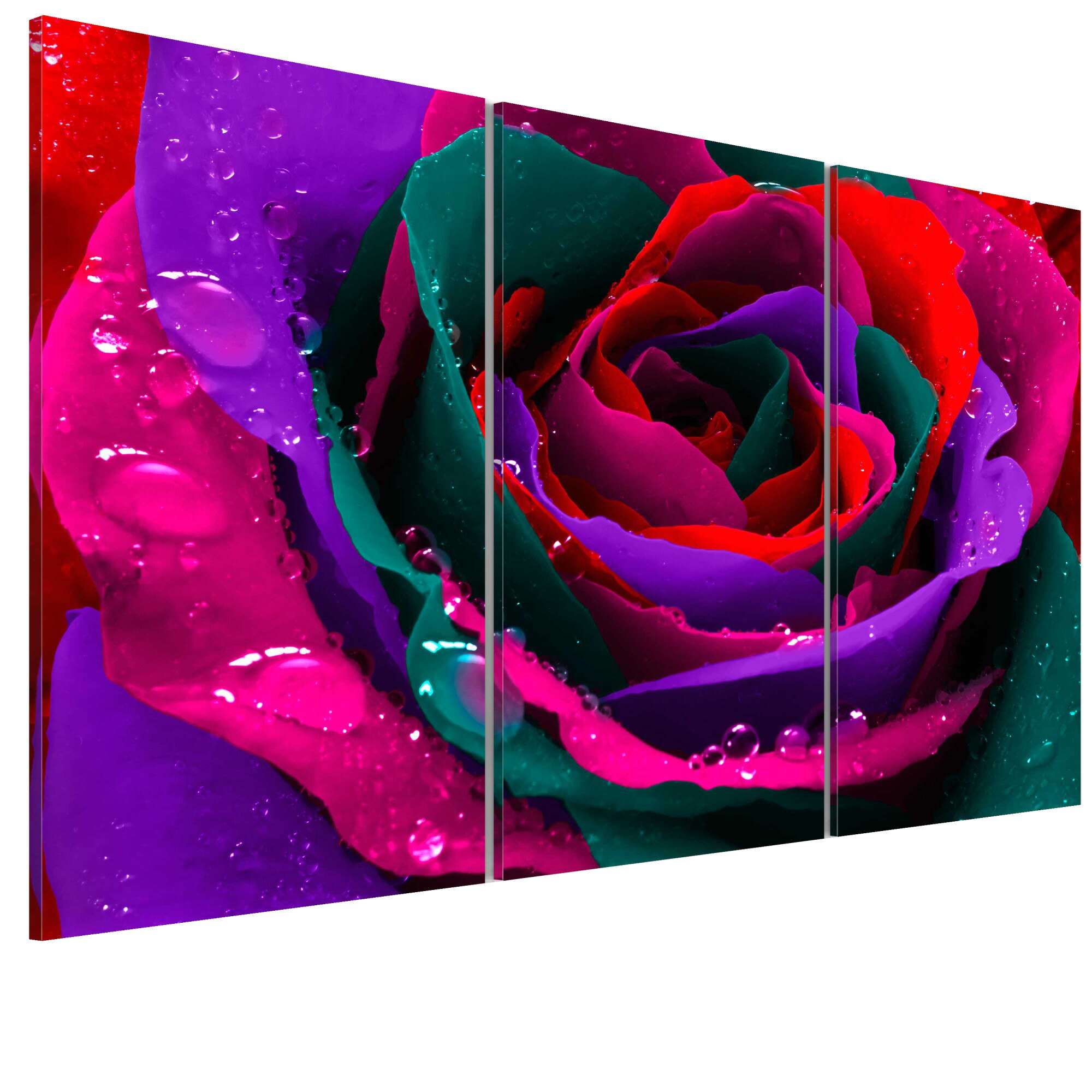 Tablou canvas 3 piese - Curcubeul a scuturat - 90 x 60 cm