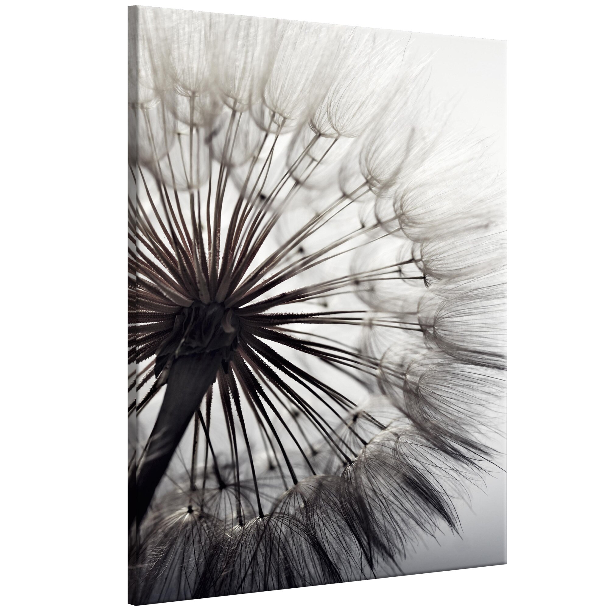 Tablou canvas - Delicitate pura - 40 x 60 cm