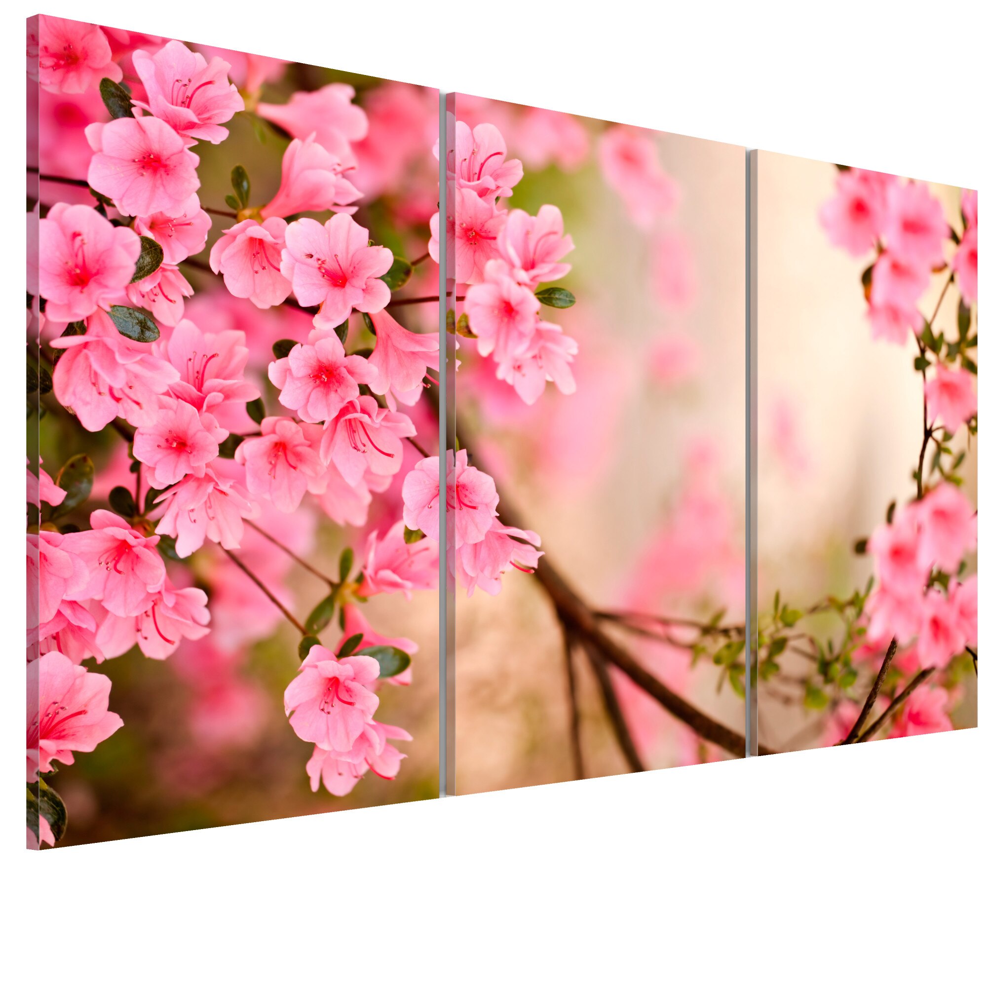 Tablou canvas 3 piese - floare de cires - 90 x 60 cm