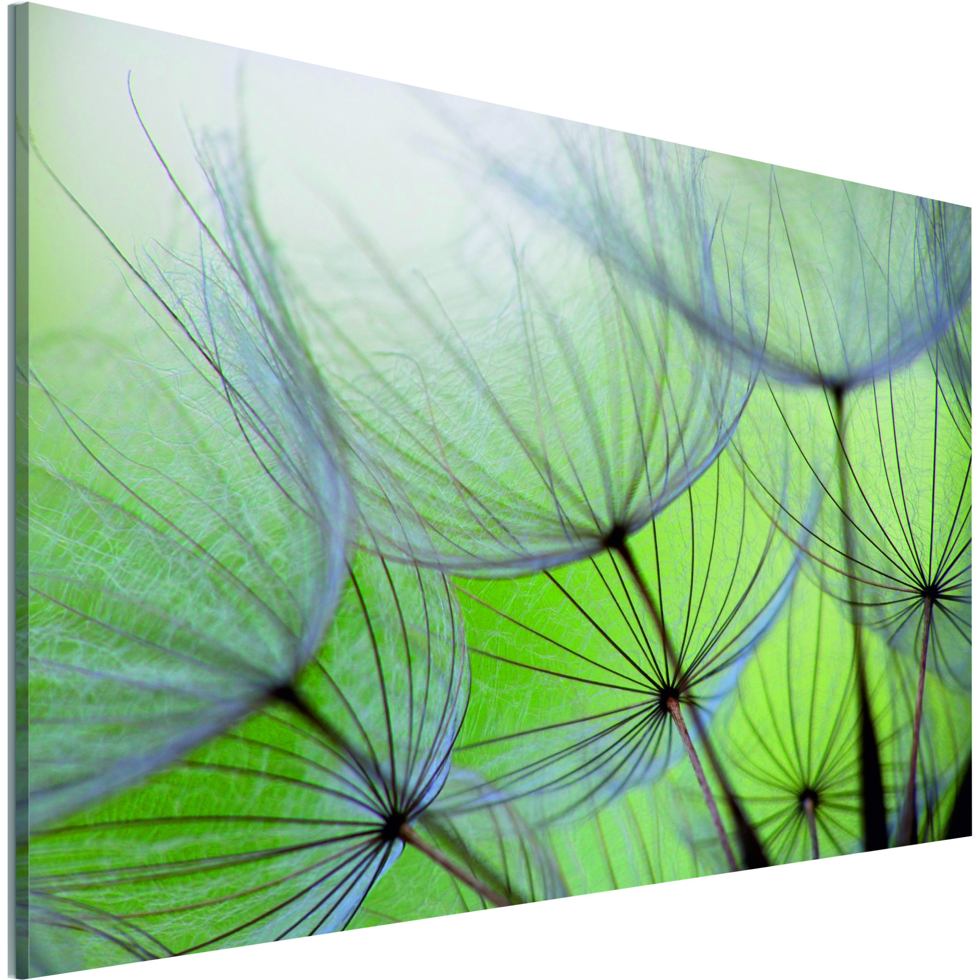 Tablou canvas - Papadie In vant - 120 x 80 cm