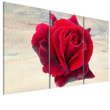 Tablou canvas 3 piese - Trandafir liric - 90 x 60 cm Tablou canvas 3 piese - Trandafir liric - 90 x 60 cm