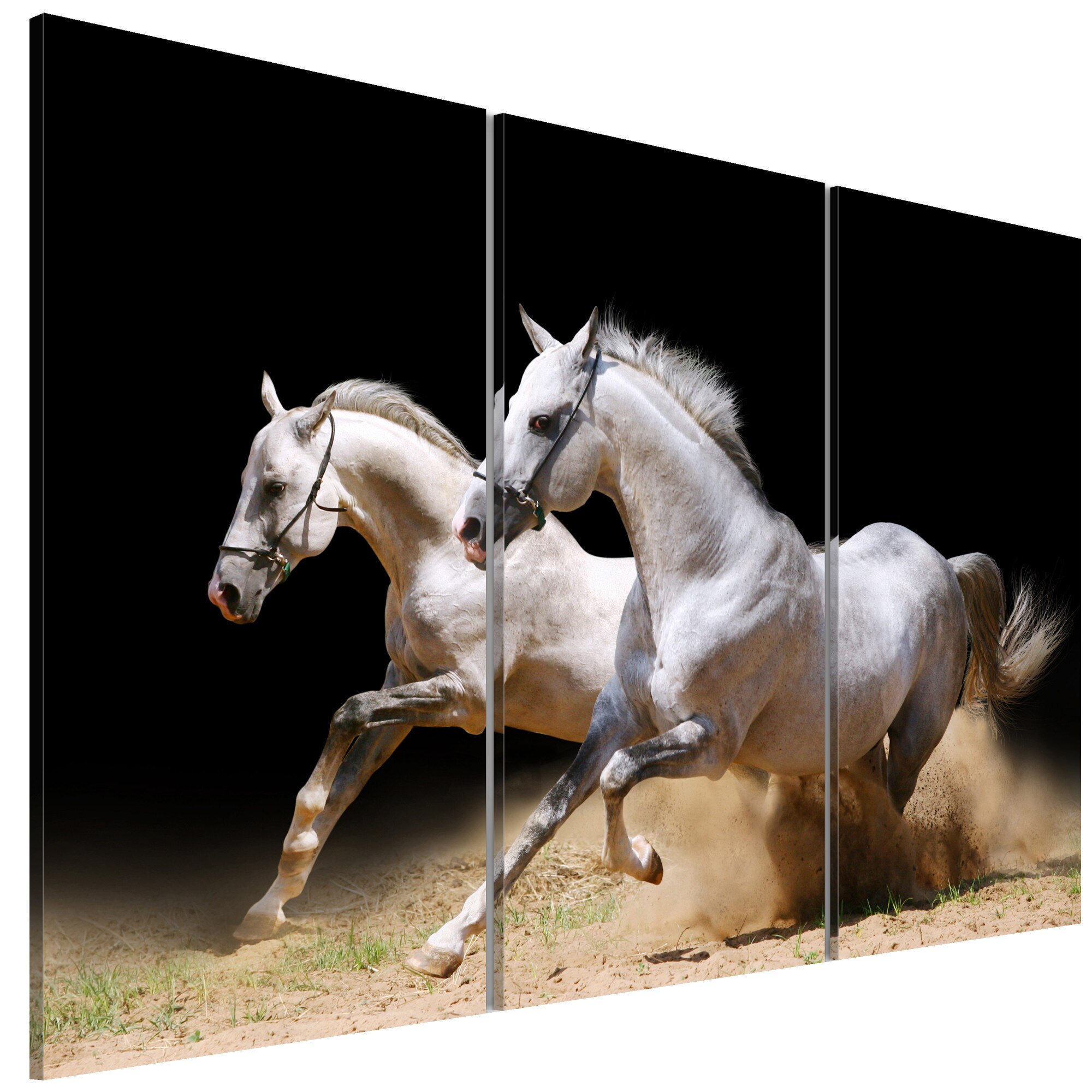 Tablou canvas 3 piese - Puterea Si viteza cailor - 90 x 60 cm