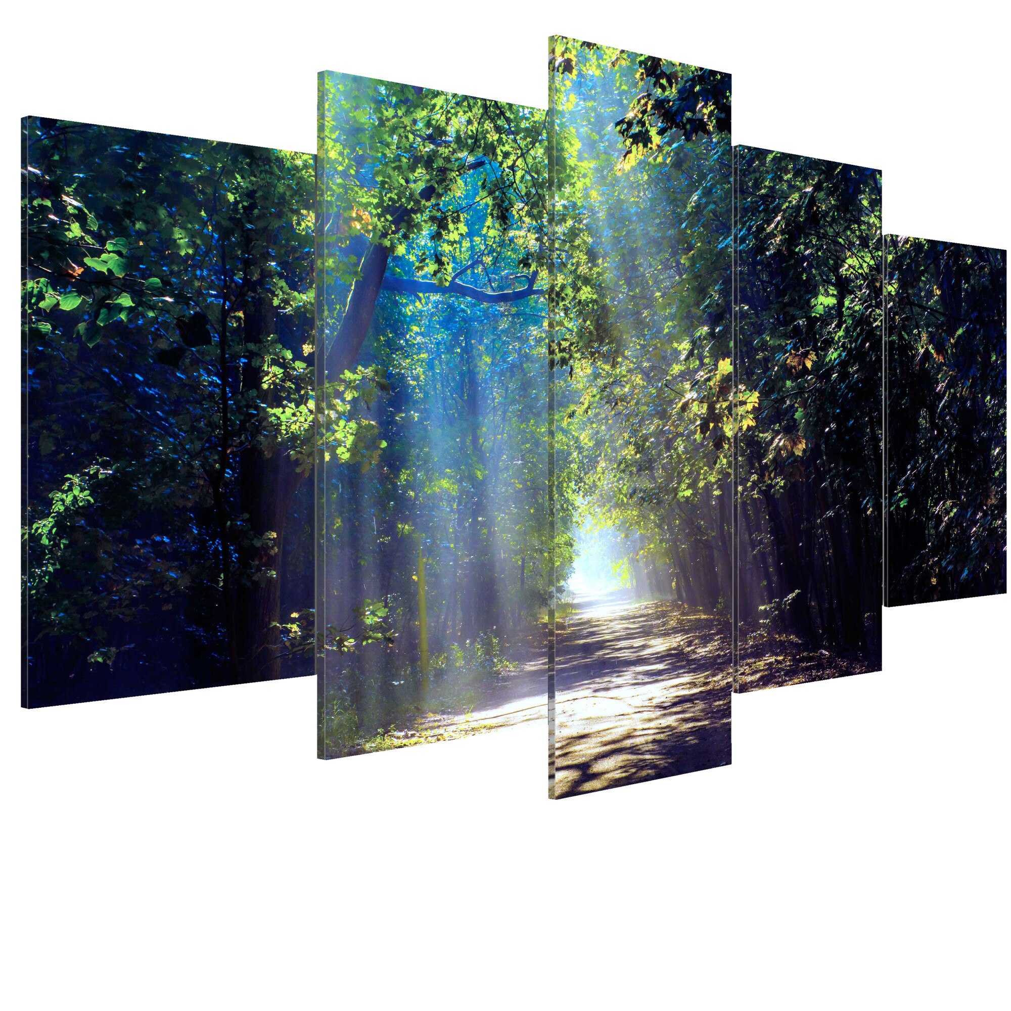 Tablou canvas 5 piese - Sunny Forest Path - 100 x 50 cm
