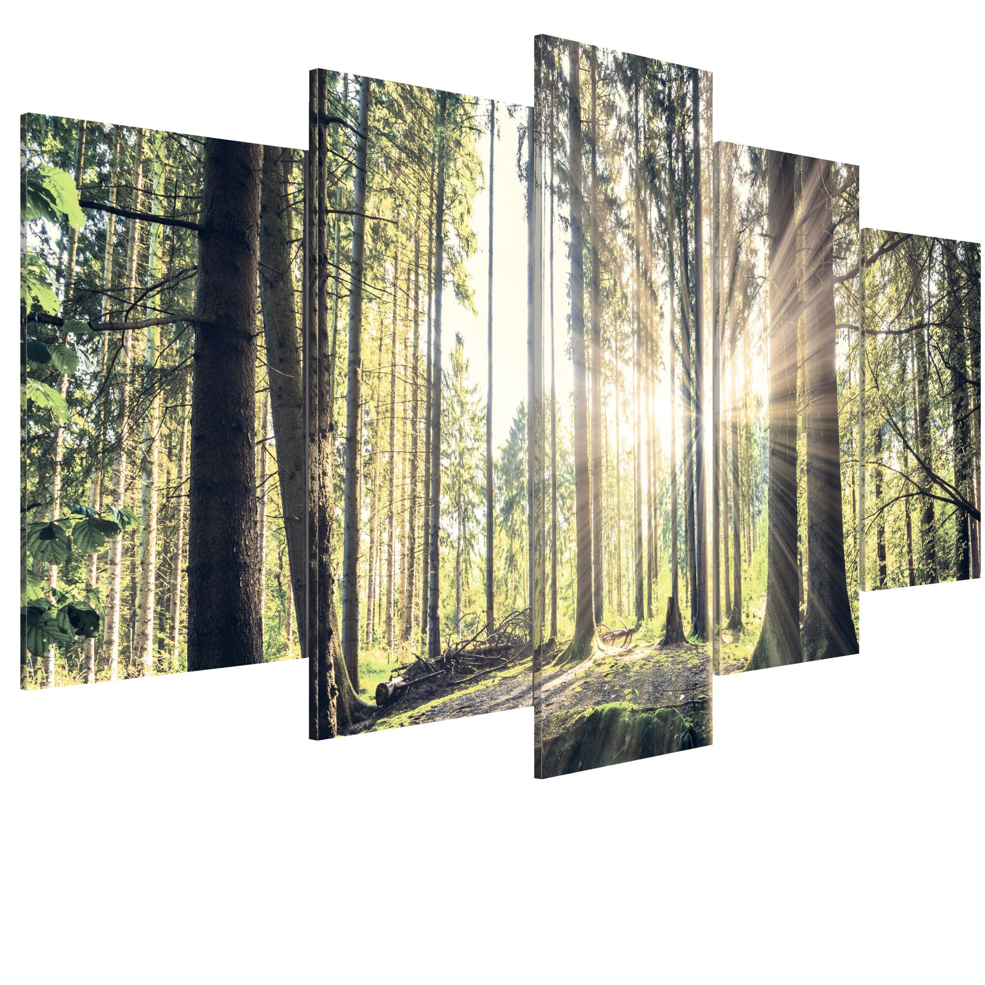 Tablou canvas 5 piese - Templul padurii - 200 x 100 cm