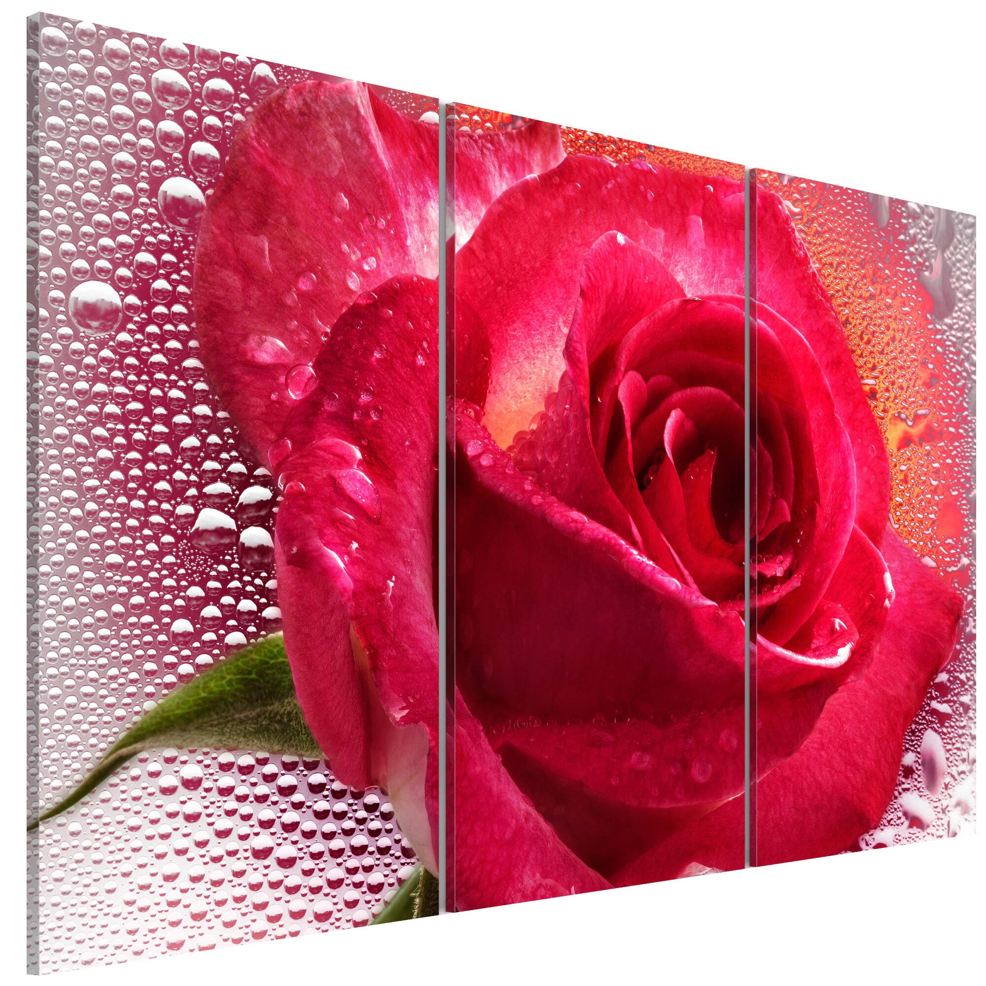 Tablou canvas 3 piese - Triptiul Lady Rose - 90 x 60 cm