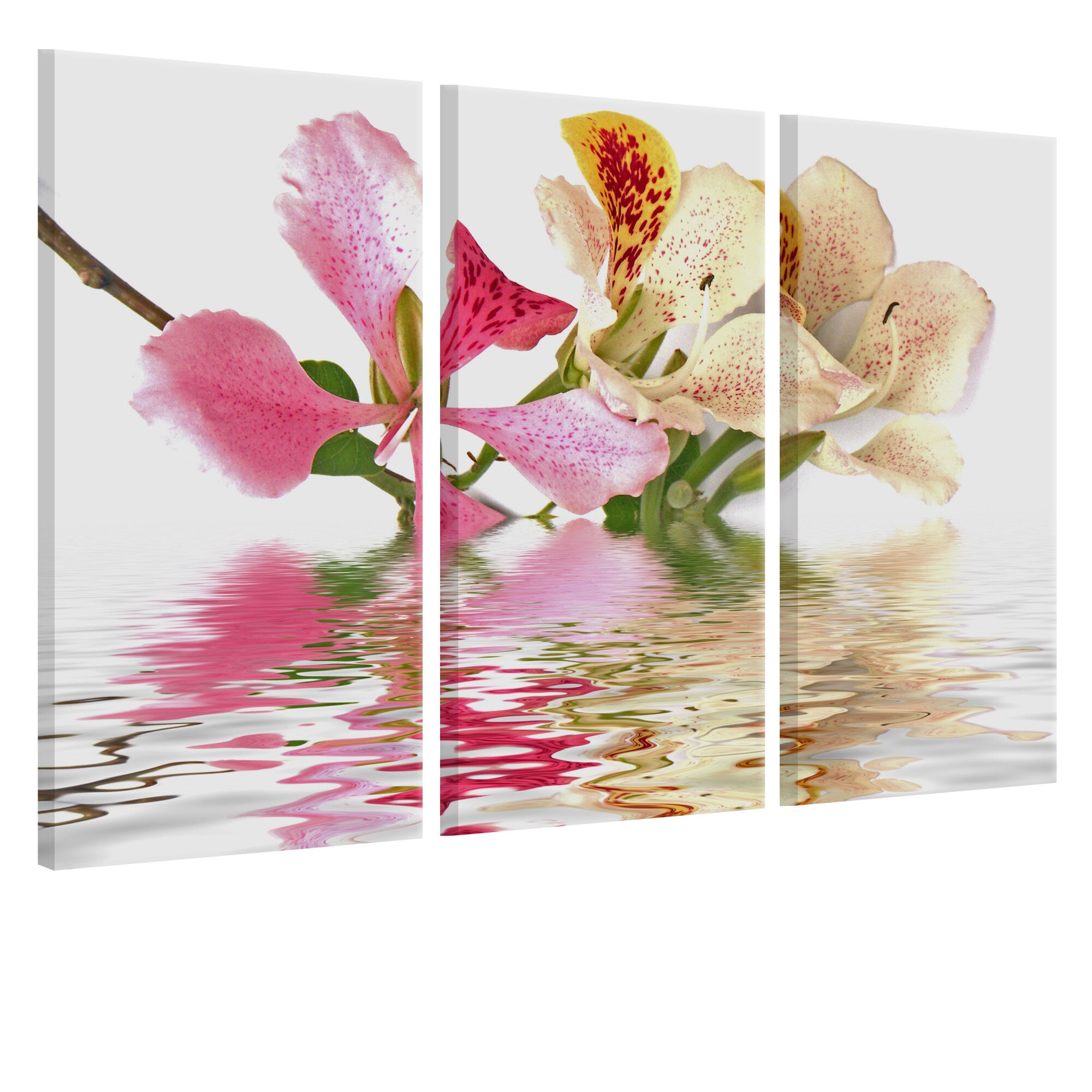 Tablou canvas 3 piese - Orhidee cu pete colorate - 90 x 60 cm