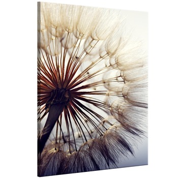 Tablou canvas - Vara frumoasa - 40 x 60 cm Tablou canvas - Vara frumoasa - 40 x 60 cm