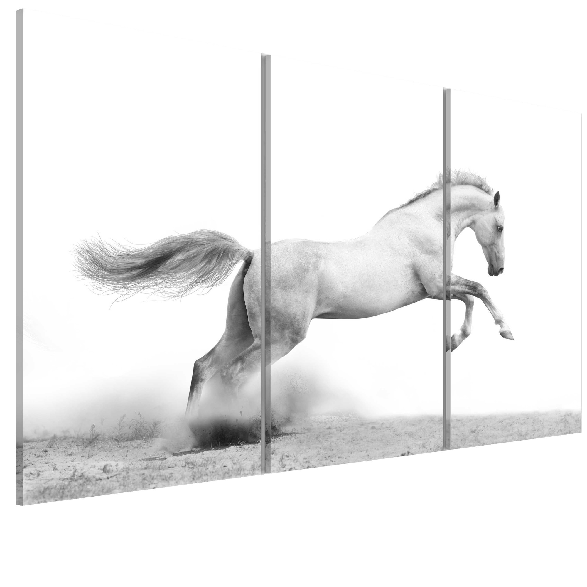 Tablou canvas 3 piese - Cal agalloping - 90 x 60 cm