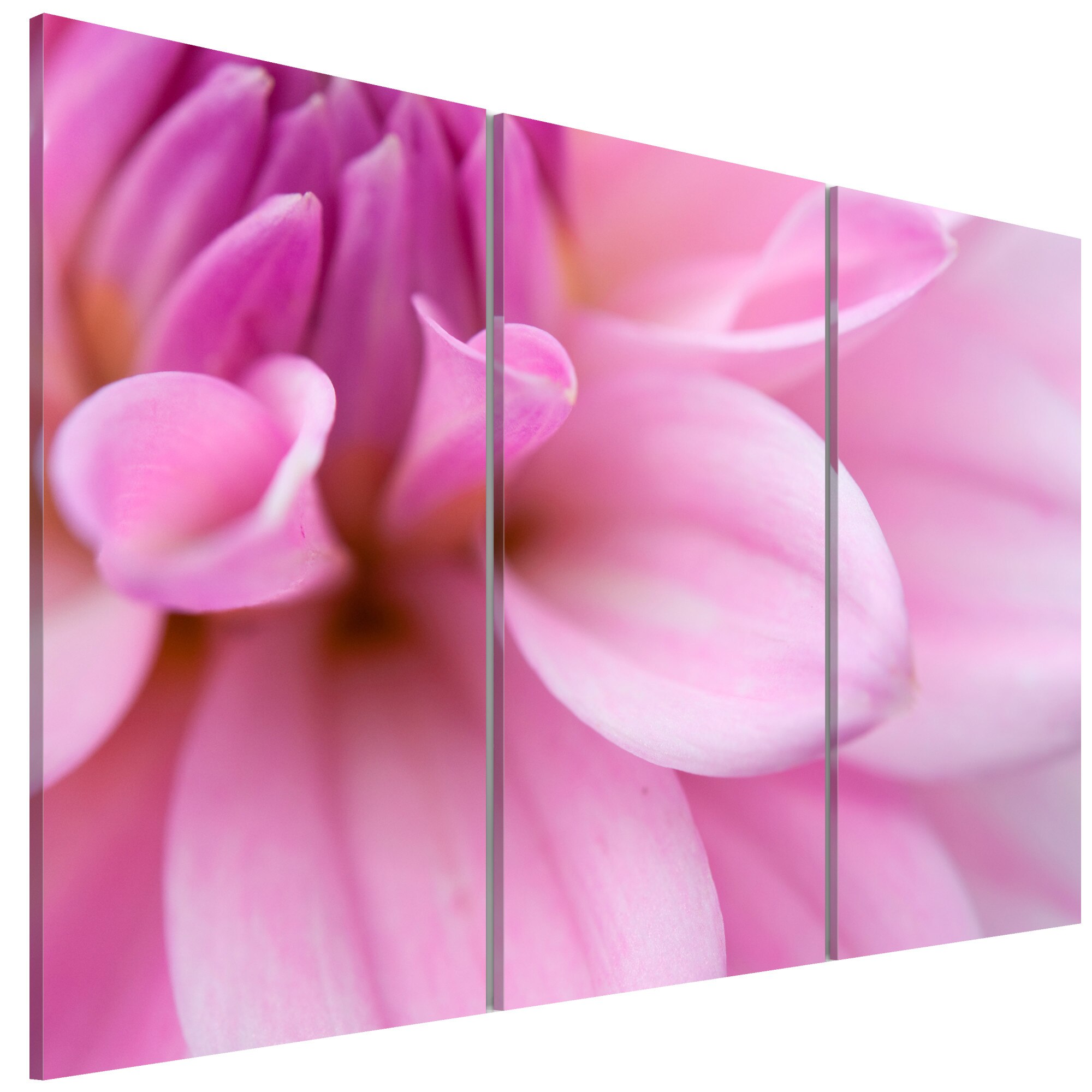 Tablou canvas 3 piese - Dalia roz - 90 x 60 cm