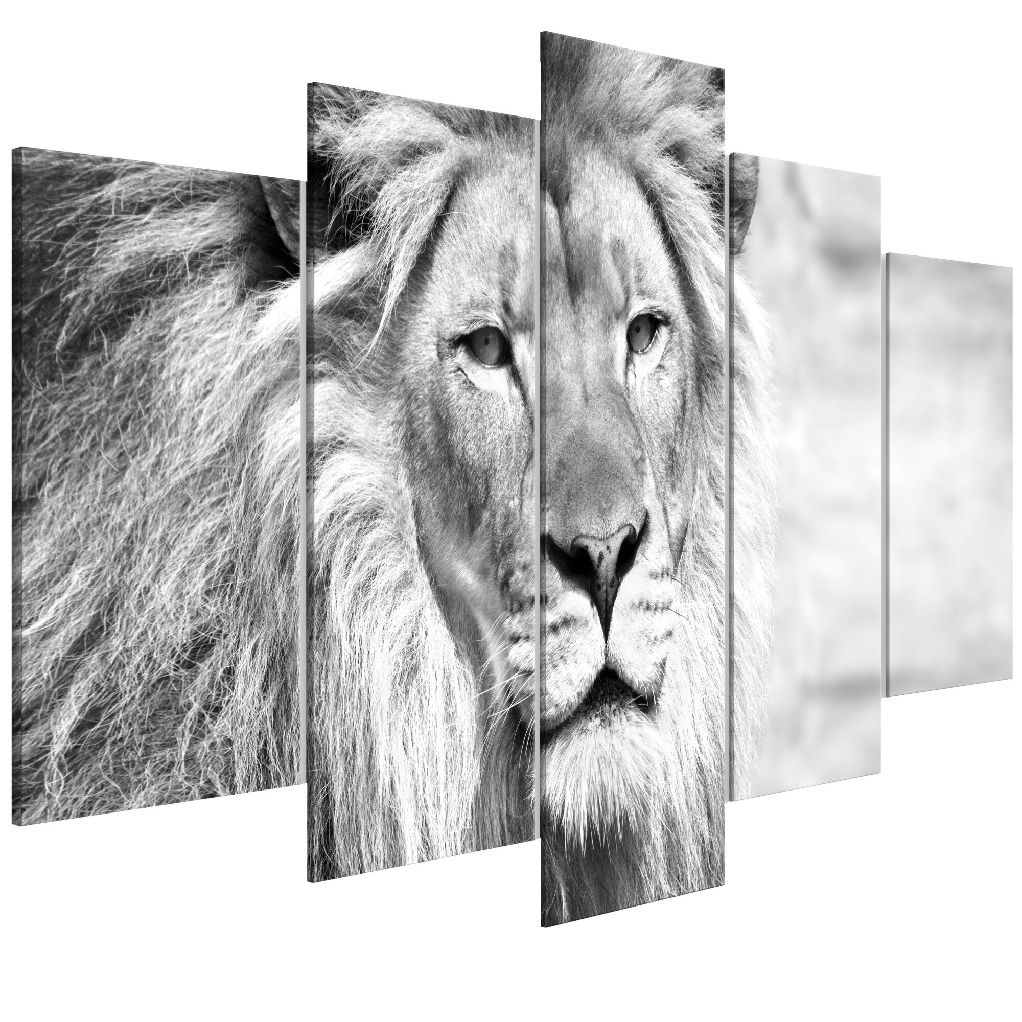 Tablou canvas 5 piese - Regele fiarelor larg alb-negru - 100 x 50 cm