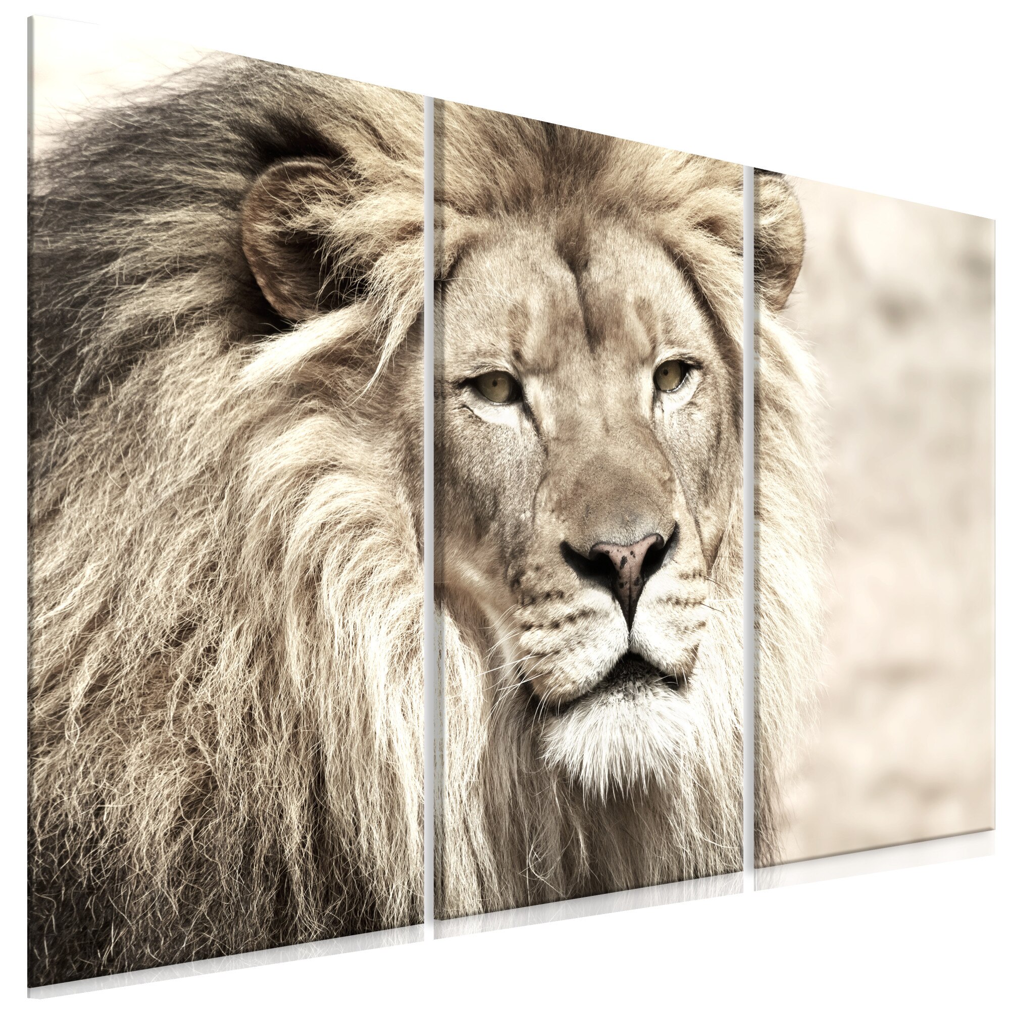 Tablou canvas 3 piese - Regele fiarelor Beige - 90 x 60 cm