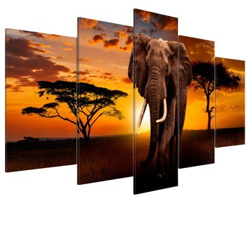 Tablou canvas 5 piese - Regele Savanei - 100 x 50 cm Tablou canvas 5 piese - Regele Savanei - 100 x 50 cm