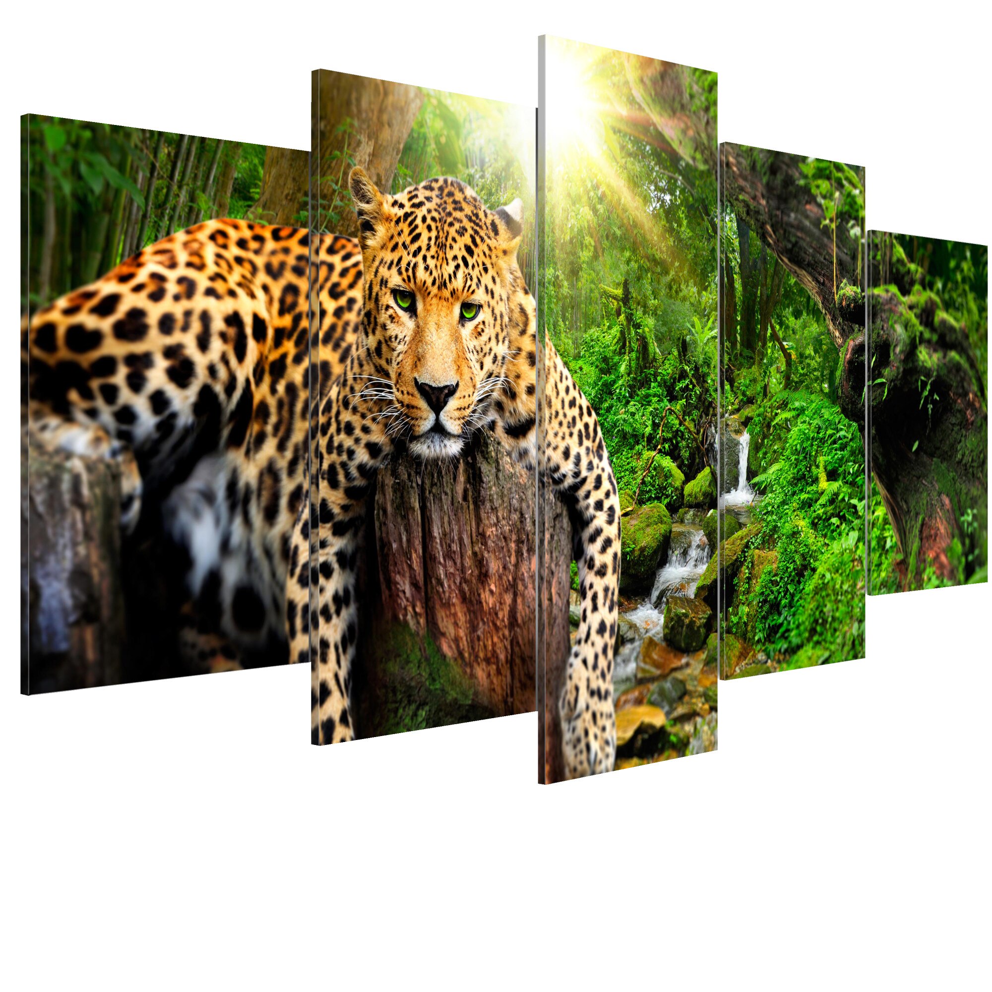 Tablou canvas 5 piese - Relaxarea pradatorului - 100 x 50 cm