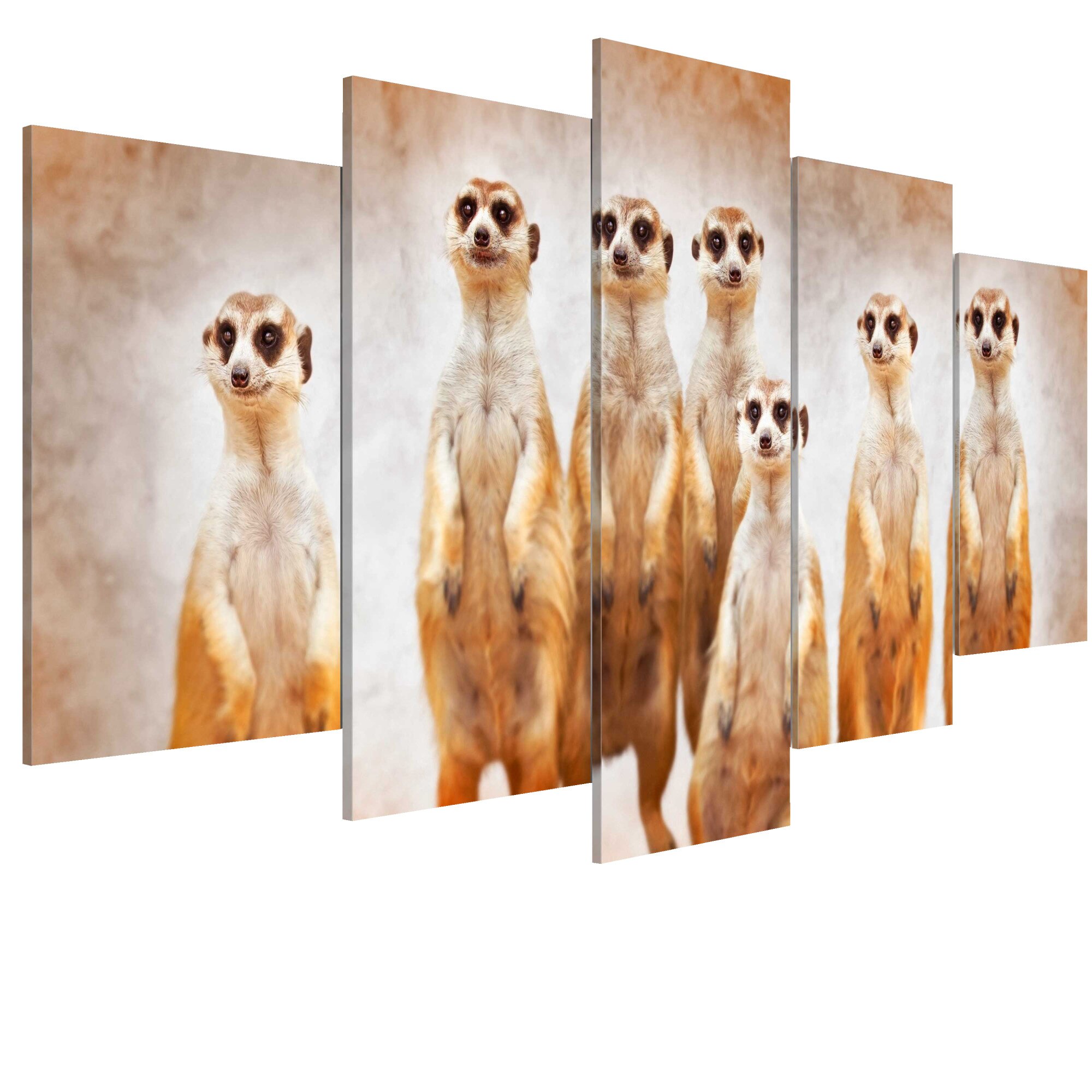 Tablou canvas 5 piese - Familia de meerkati - 100 x 50 cm