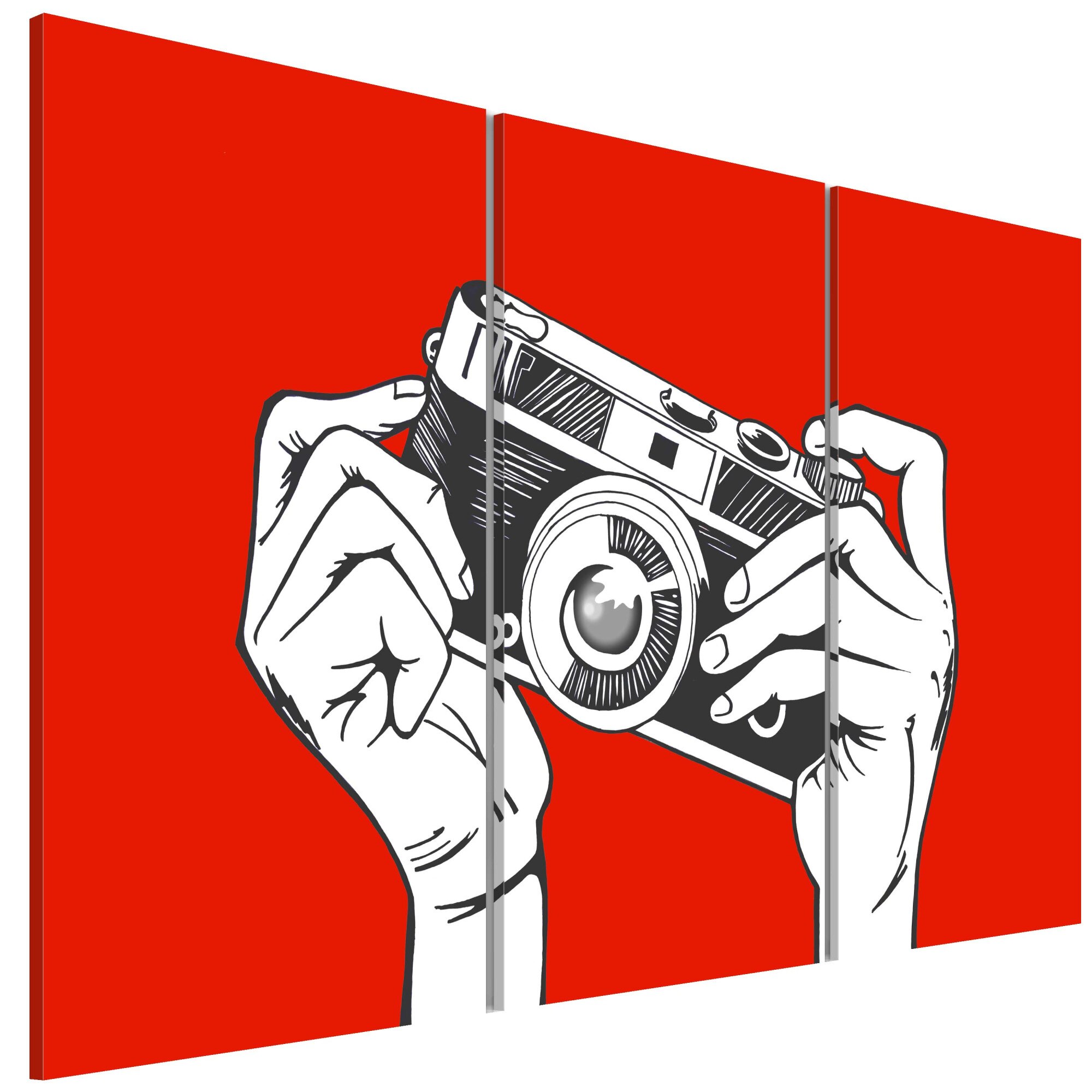 Tablou canvas 3 piese - Un fotograf - 90 x 60 cm