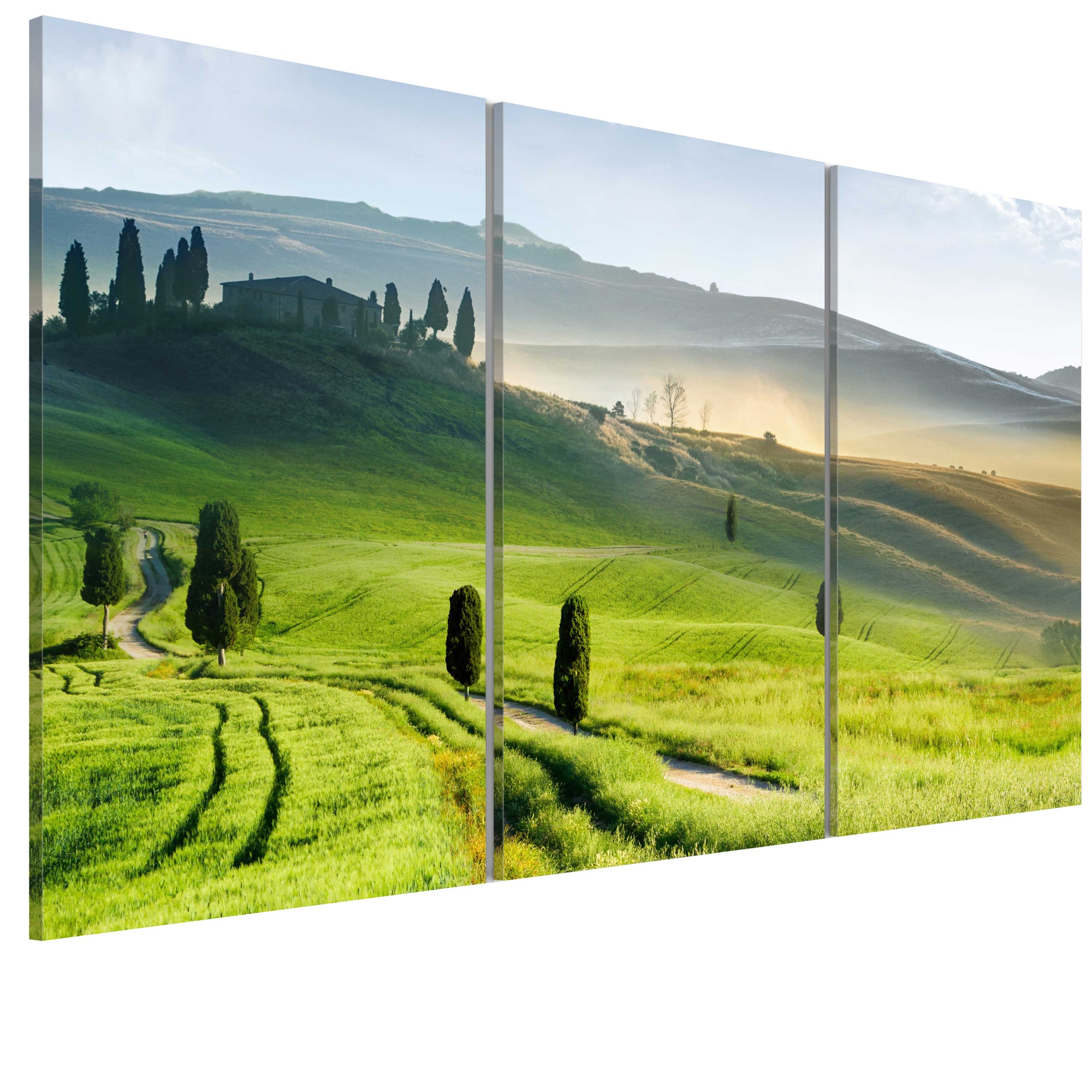 Tablou canvas 3 piese - Ora recoltei - 90 x 60 cm