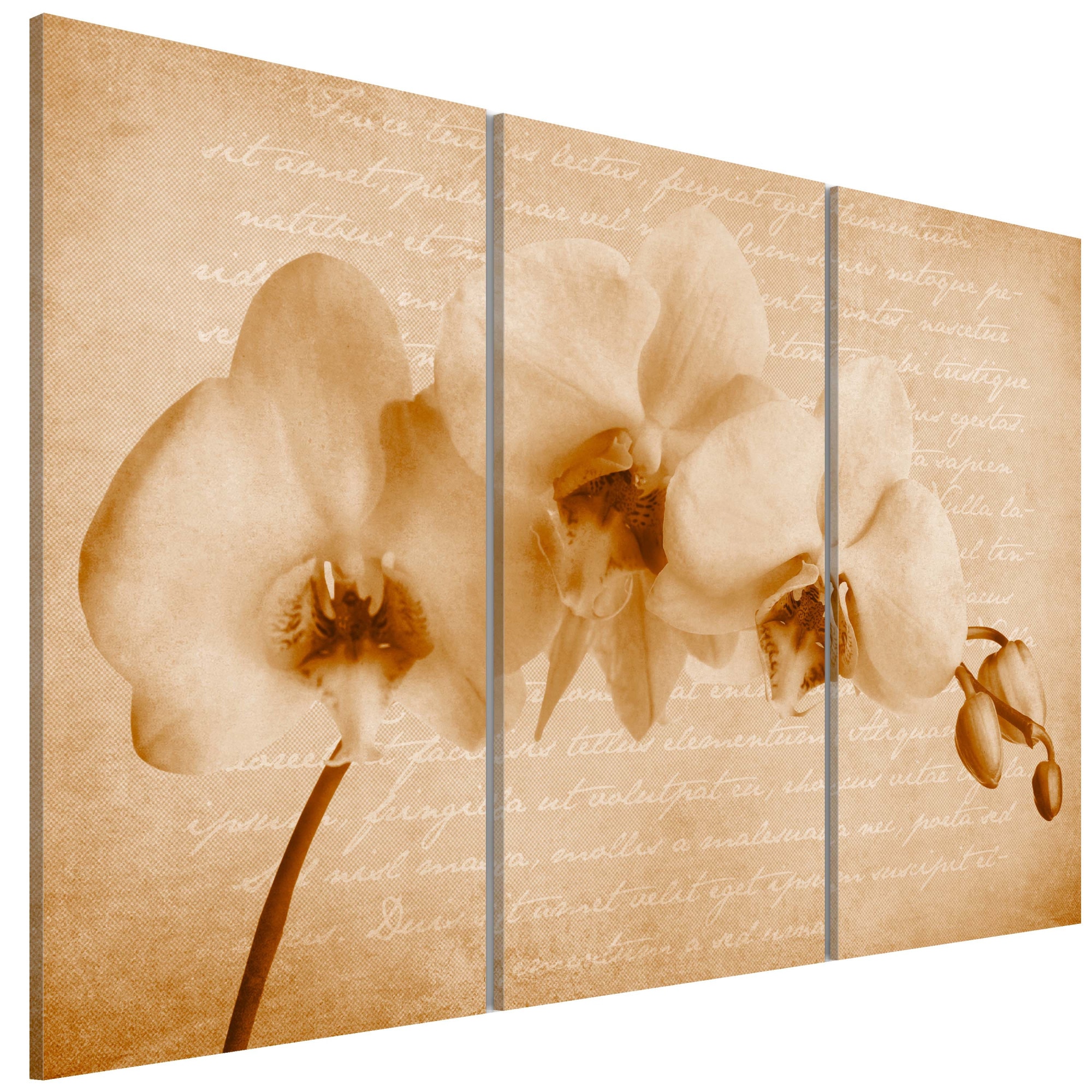Tablou canvas 3 piese - Orhidee vintage - 90 x 60 cm