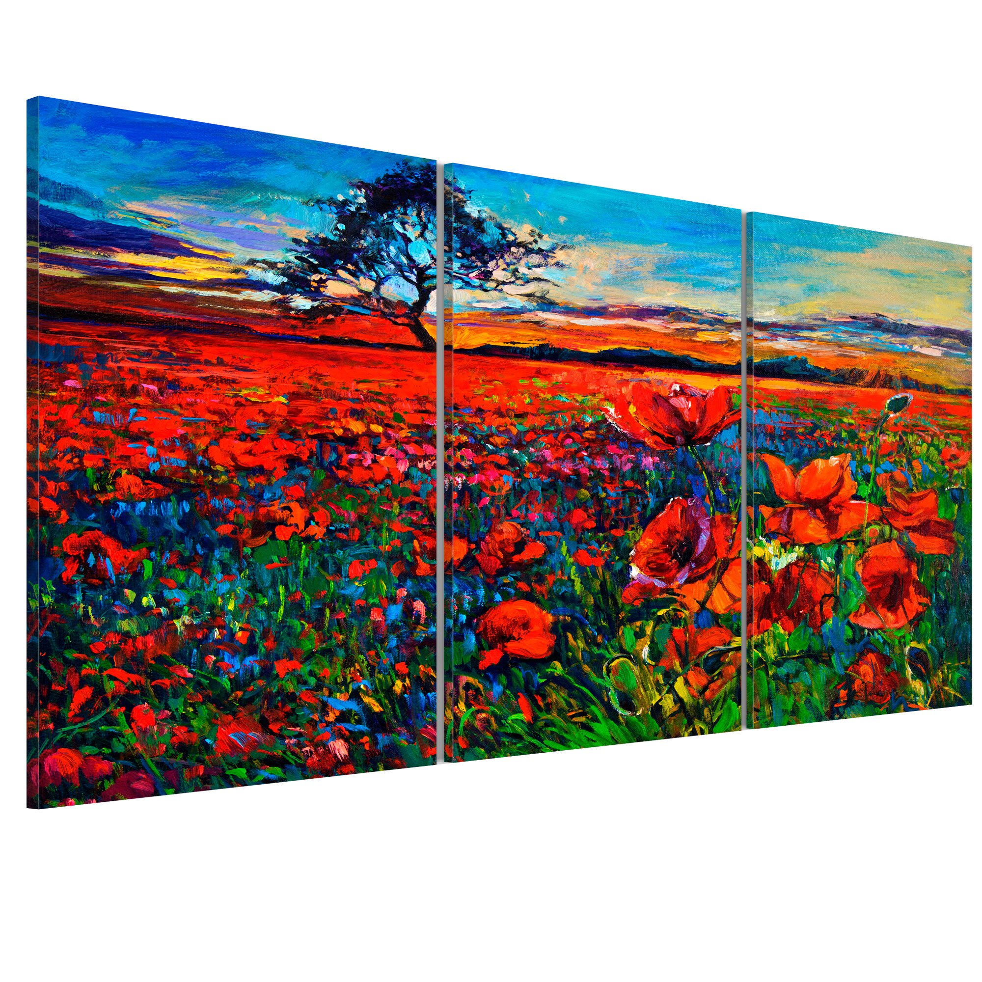 Tablou canvas 3 piese - Valea maStilor - 60 x 30 cm