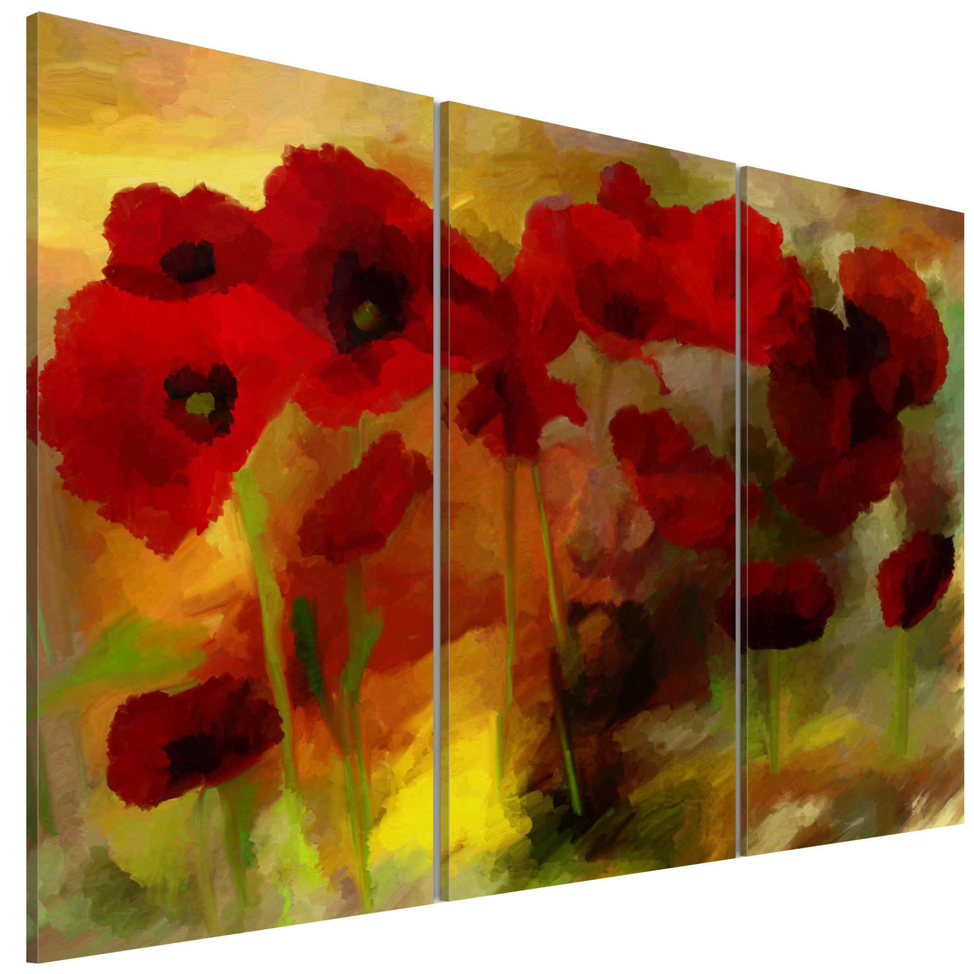 Tablou canvas 3 piese - Mape sublime - 90 x 60 cm