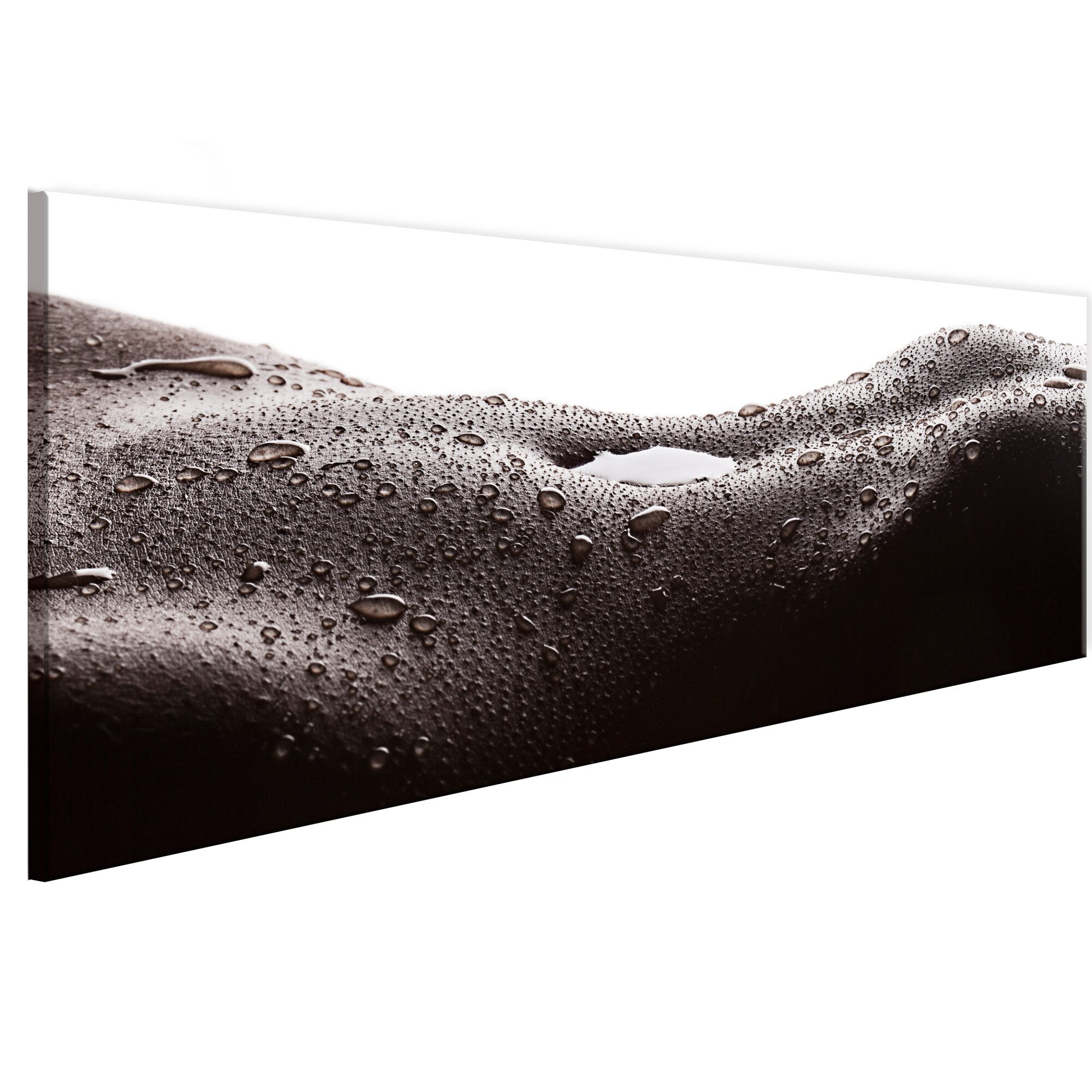 Tablou canvas - Peisaj erotic - 135 x 45 cm