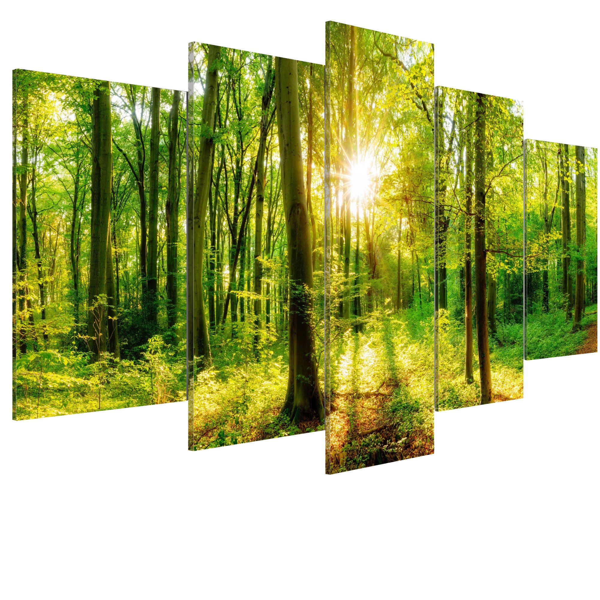 Tablou canvas 5 piese - Povestea Padurii - 200 x 100 cm