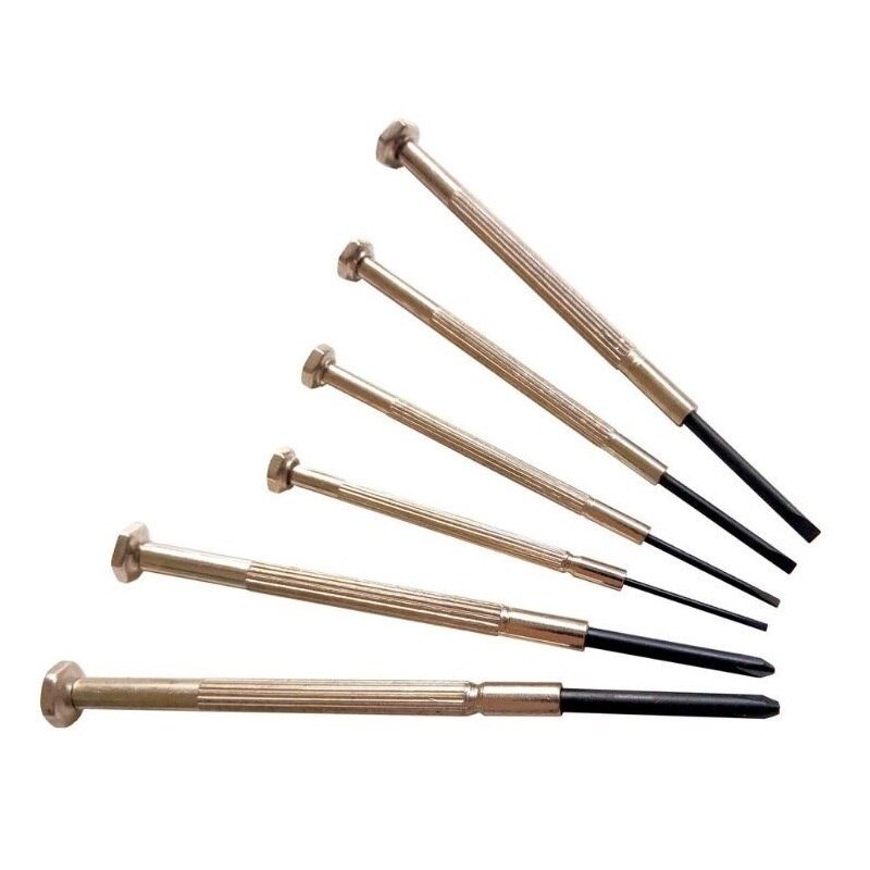 Set surubelnite de precizie Wert W2251, 6 piese