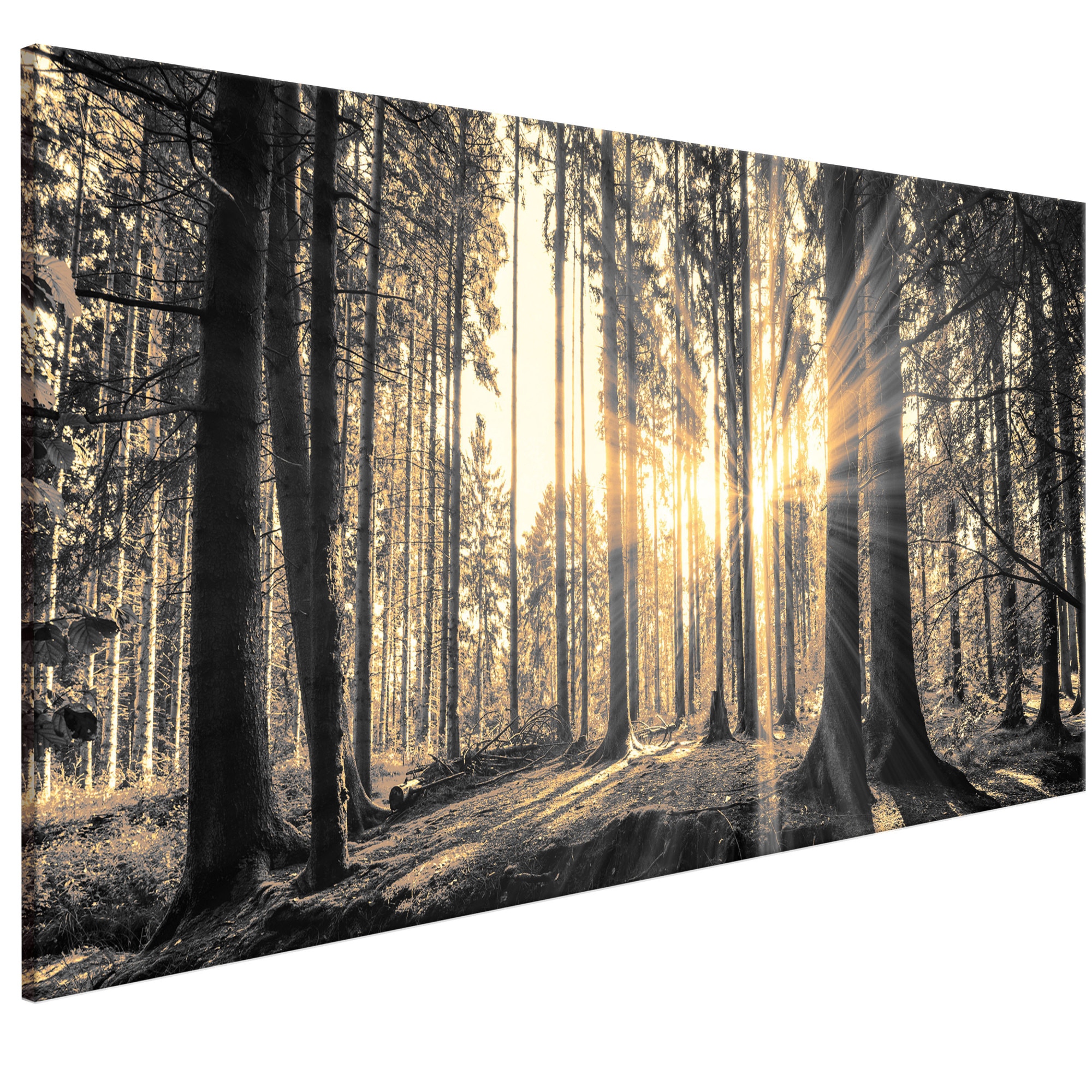Tablou canvas - Soarele de padure - 135 x 45 cm