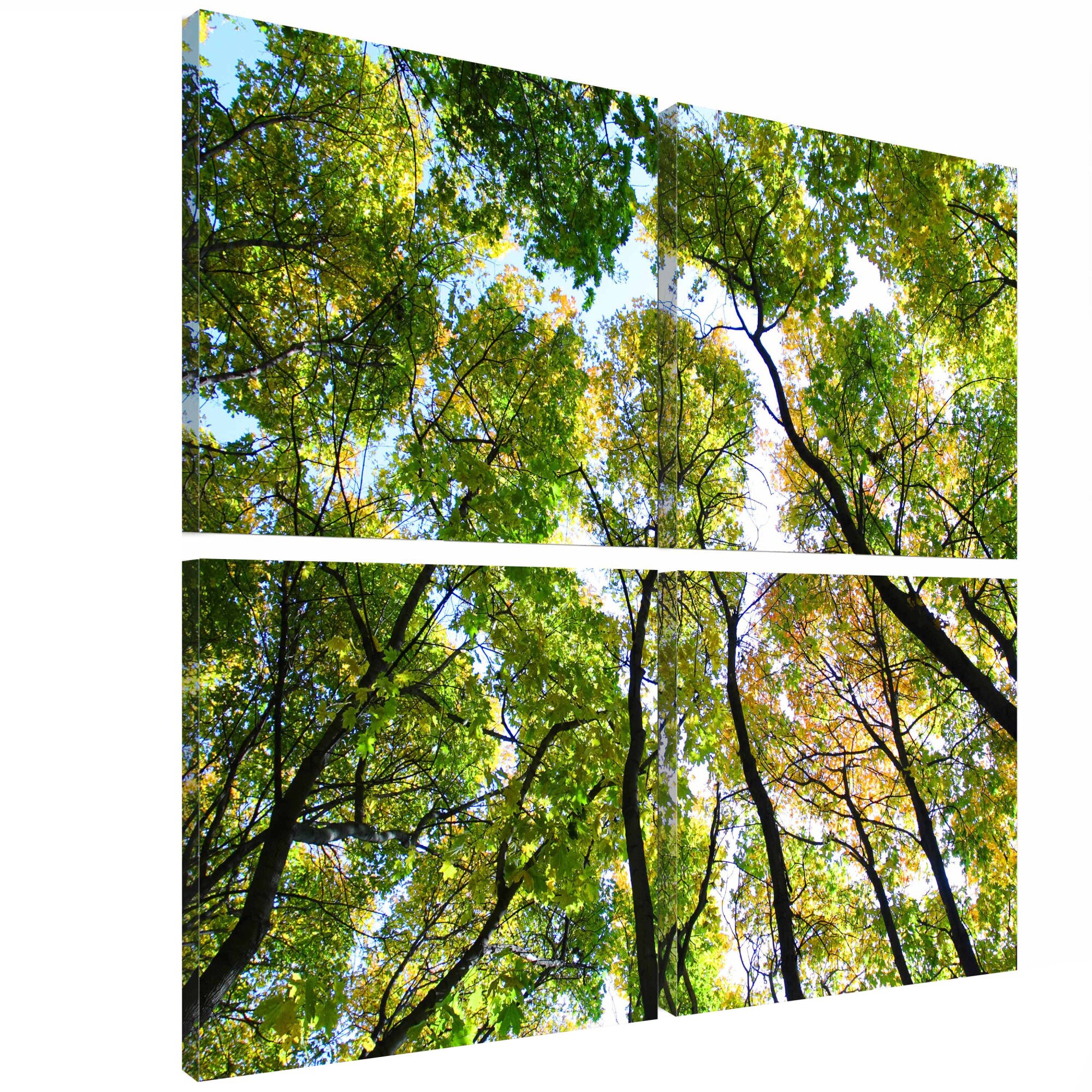 Tablou canvas 4 piese - Treetops - 90 x 90 cm