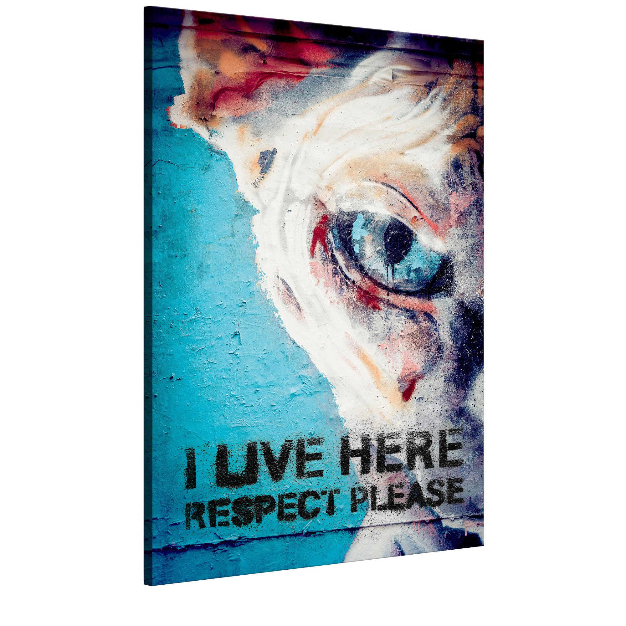 Tablou canvas - Traiesc aici, Respecta Te rog - 60 x 90 cm