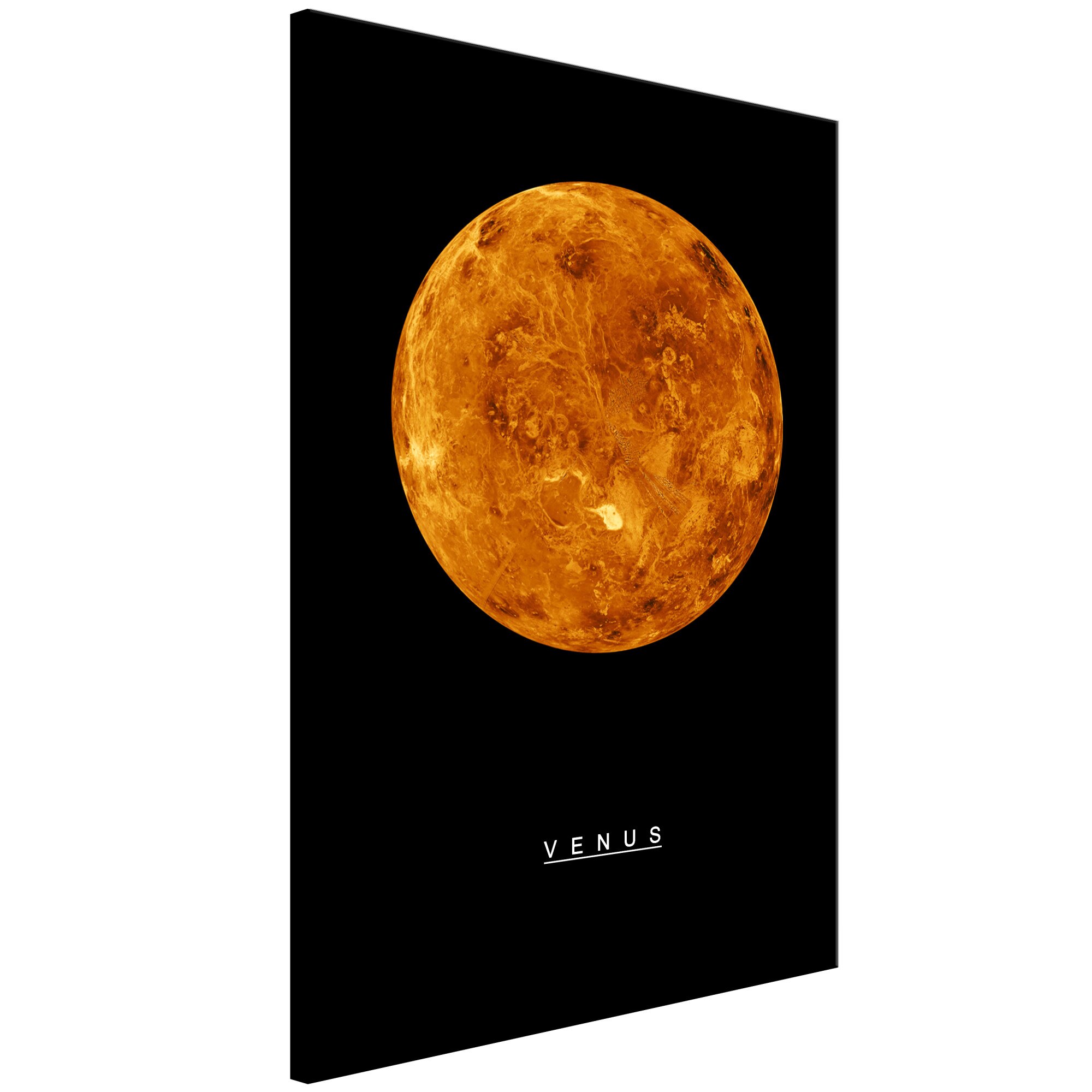 Tablou canvas - Venus vertical - 40 x 60 cm