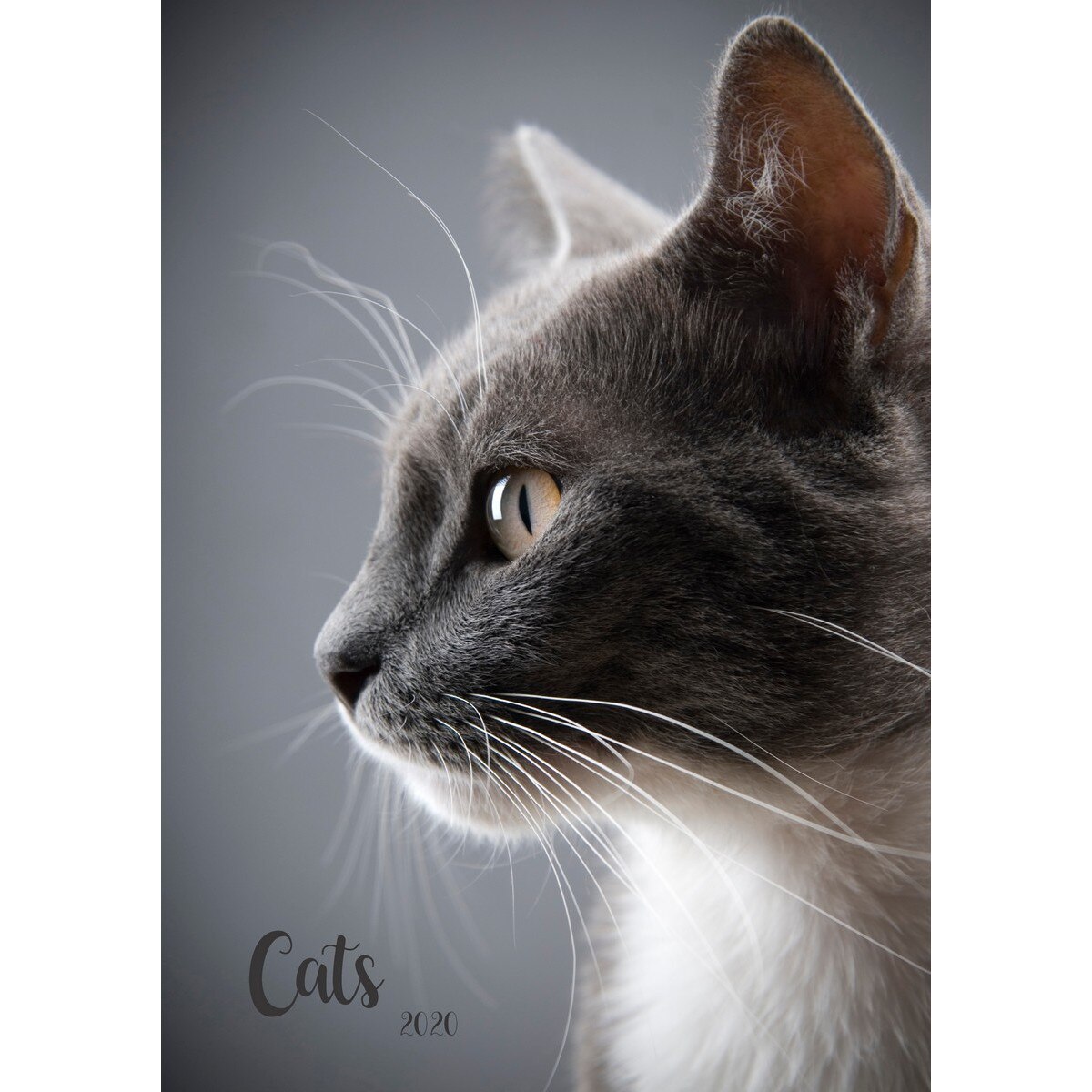 Calendar de Perete 2020 - A3 - Cats