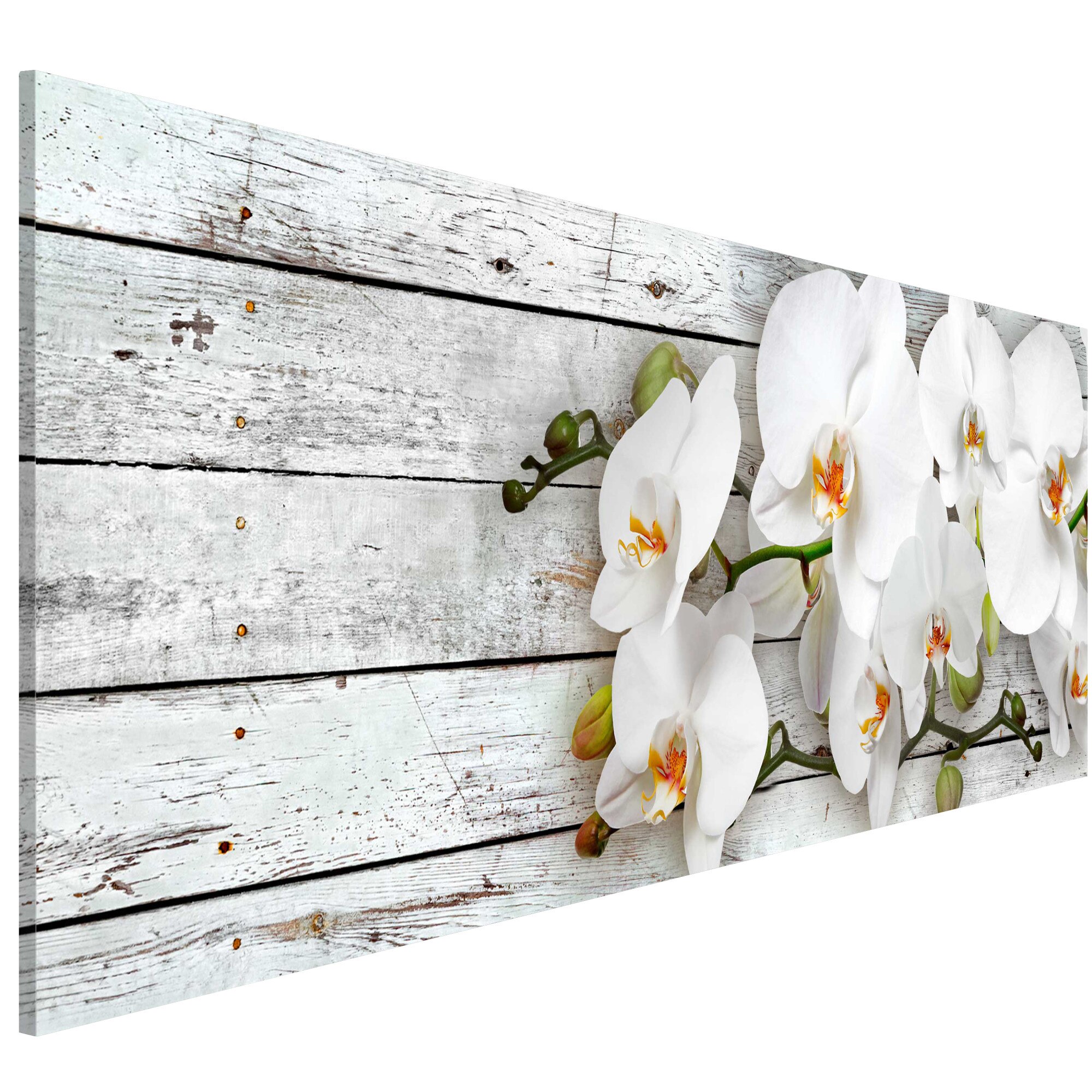 Tablou canvas - Visele albe - 150 x 50 cm