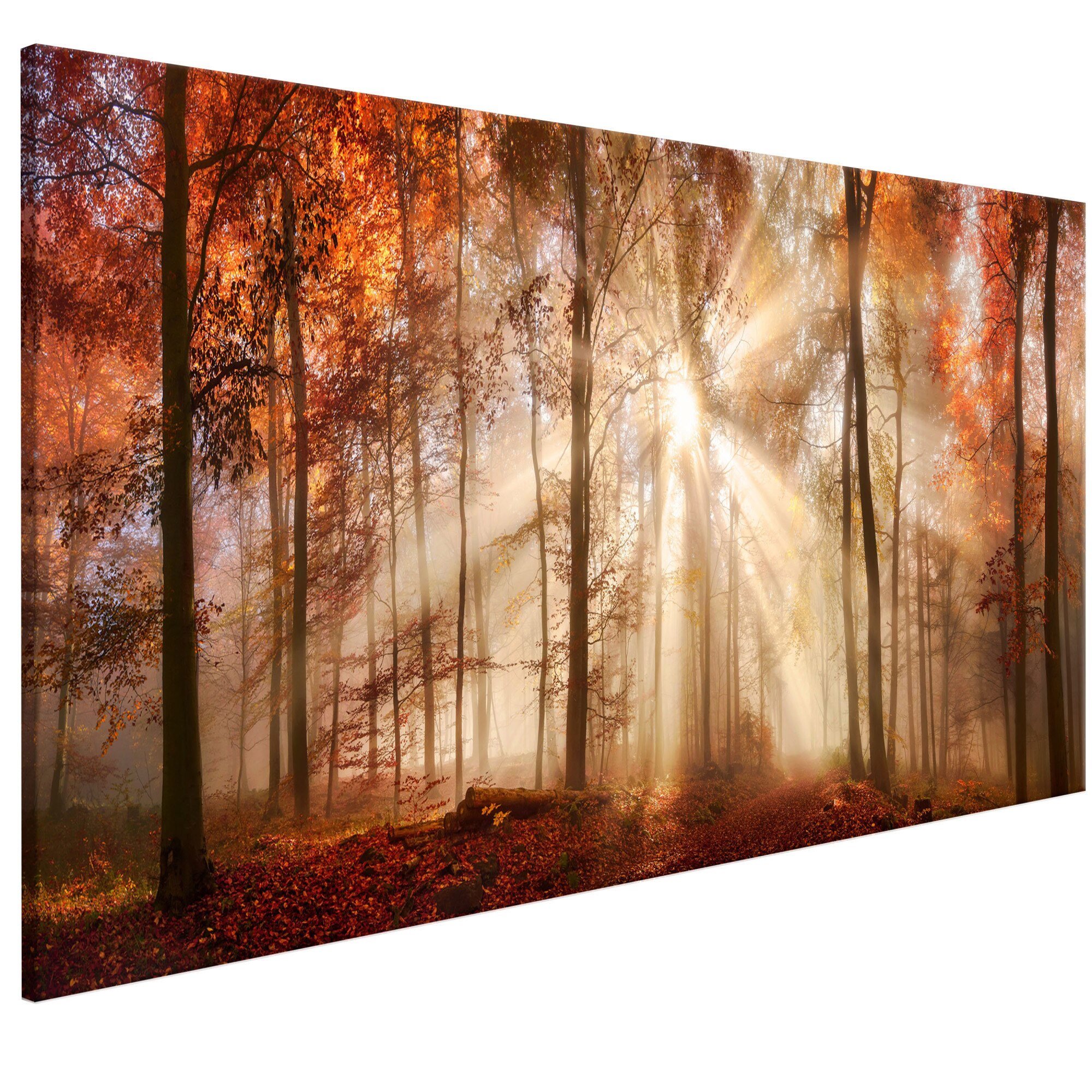 Tablou canvas - Zorii de toamna - 135 x 45 cm