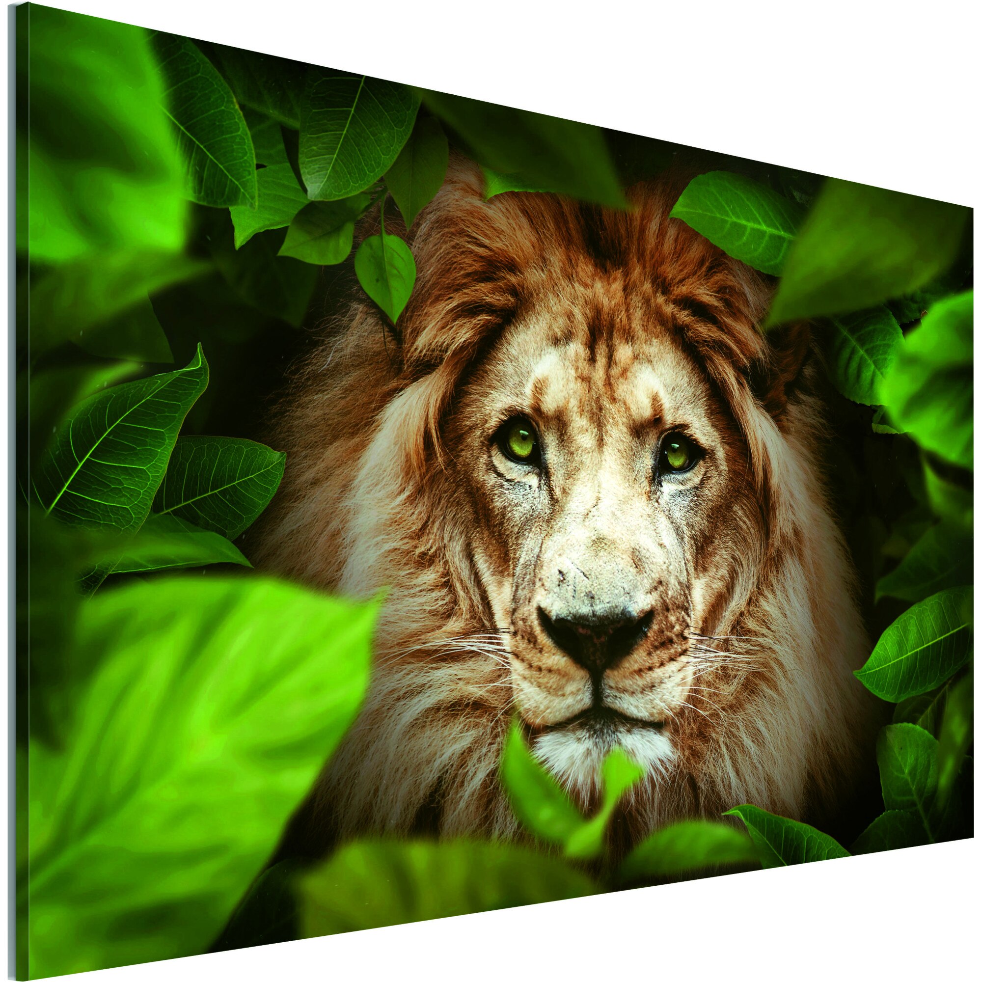 Tablou canvas - Ochii junglei - 120 x 80 cm
