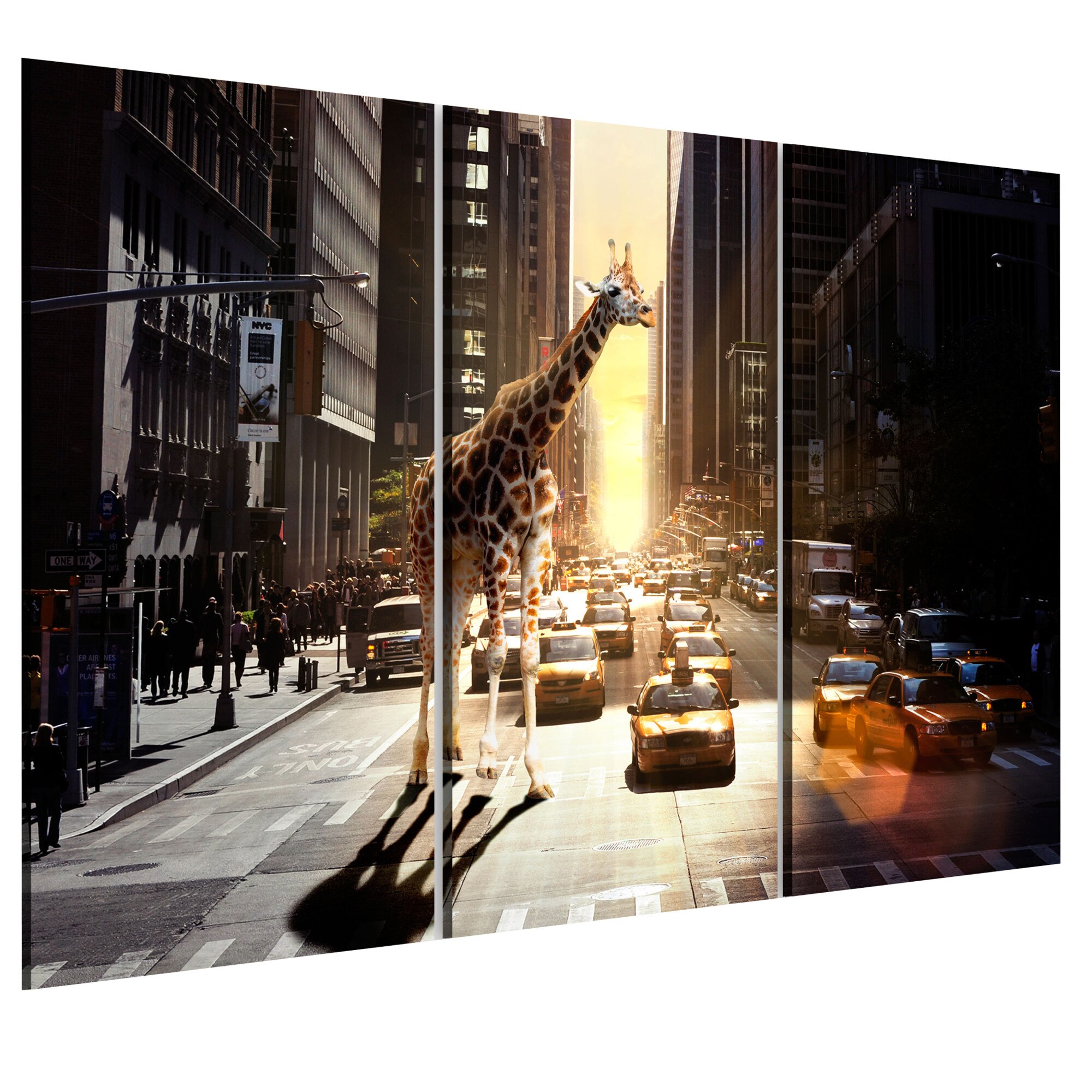 Tablou canvas 3 piese - Girafa In marele oraS - 90 x 60 cm