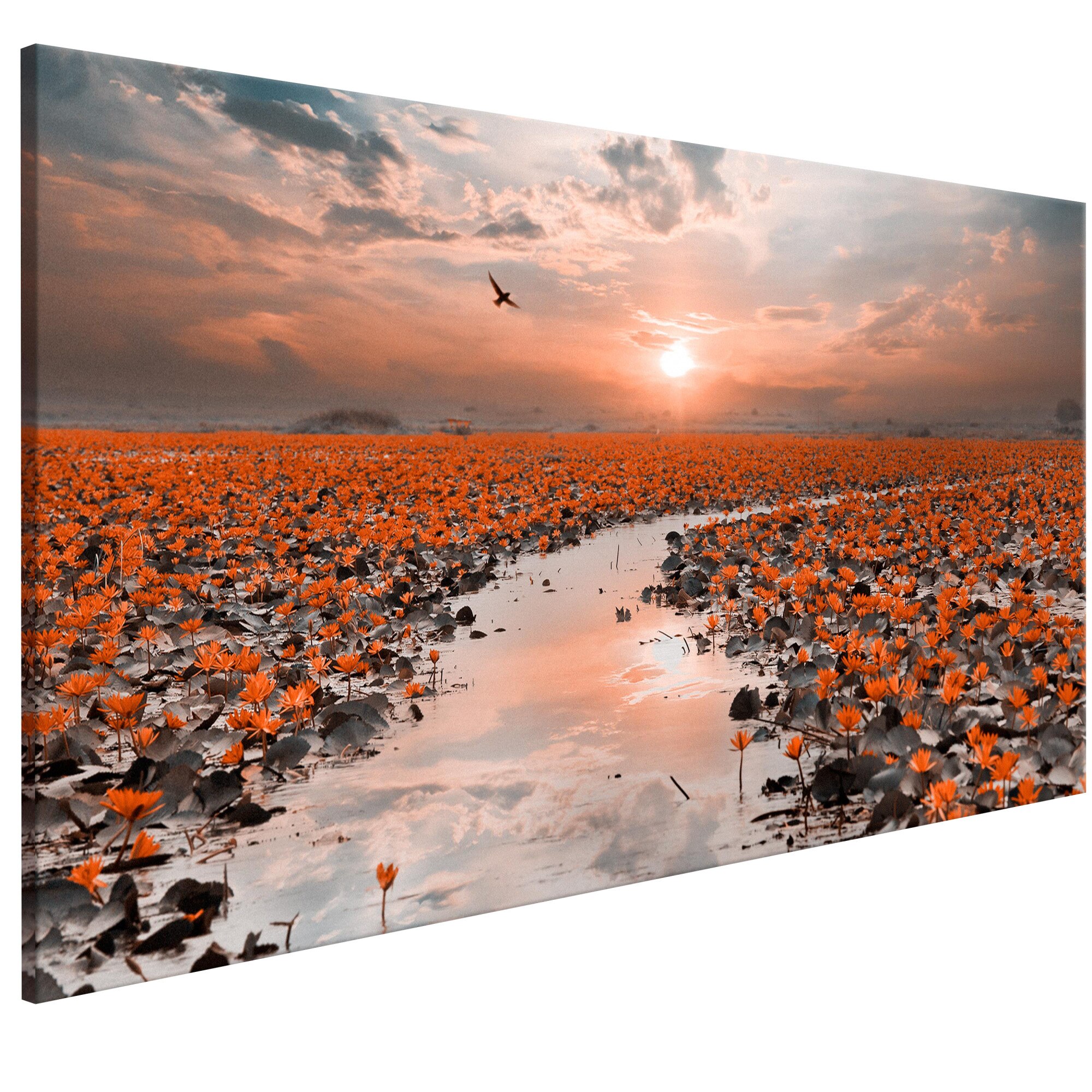 Tablou canvas - Lily Pathway Wide - 100 x 45 cm
