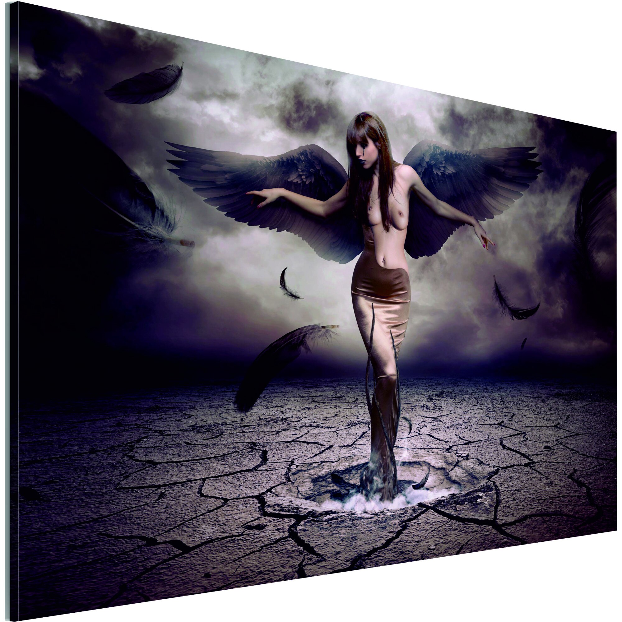 Tablou canvas - Inger negru - 120 x 80 cm