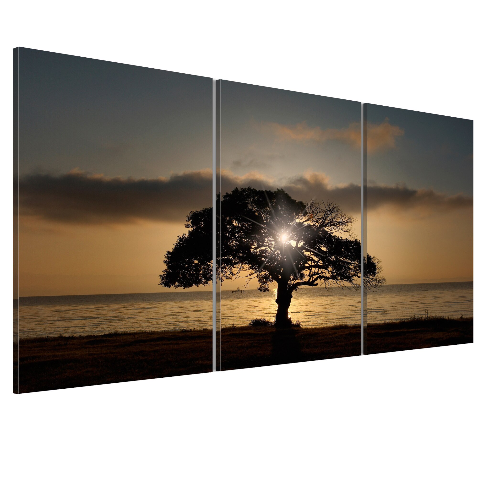 Tablou canvas 3 piese - Natura extraordinara - 120 x 60 cm