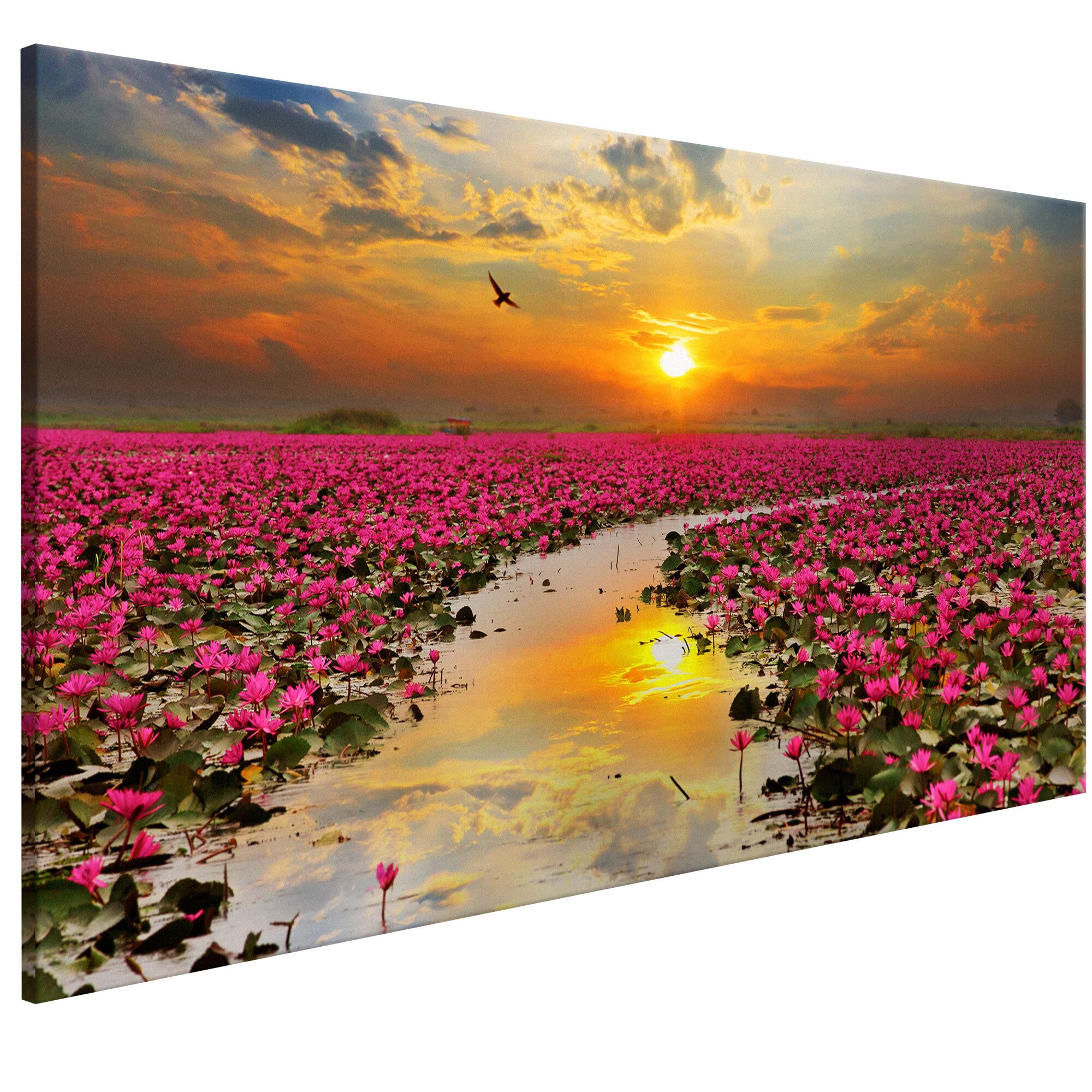 Tablou canvas - Lily Field Wide - 100 x 45 cm