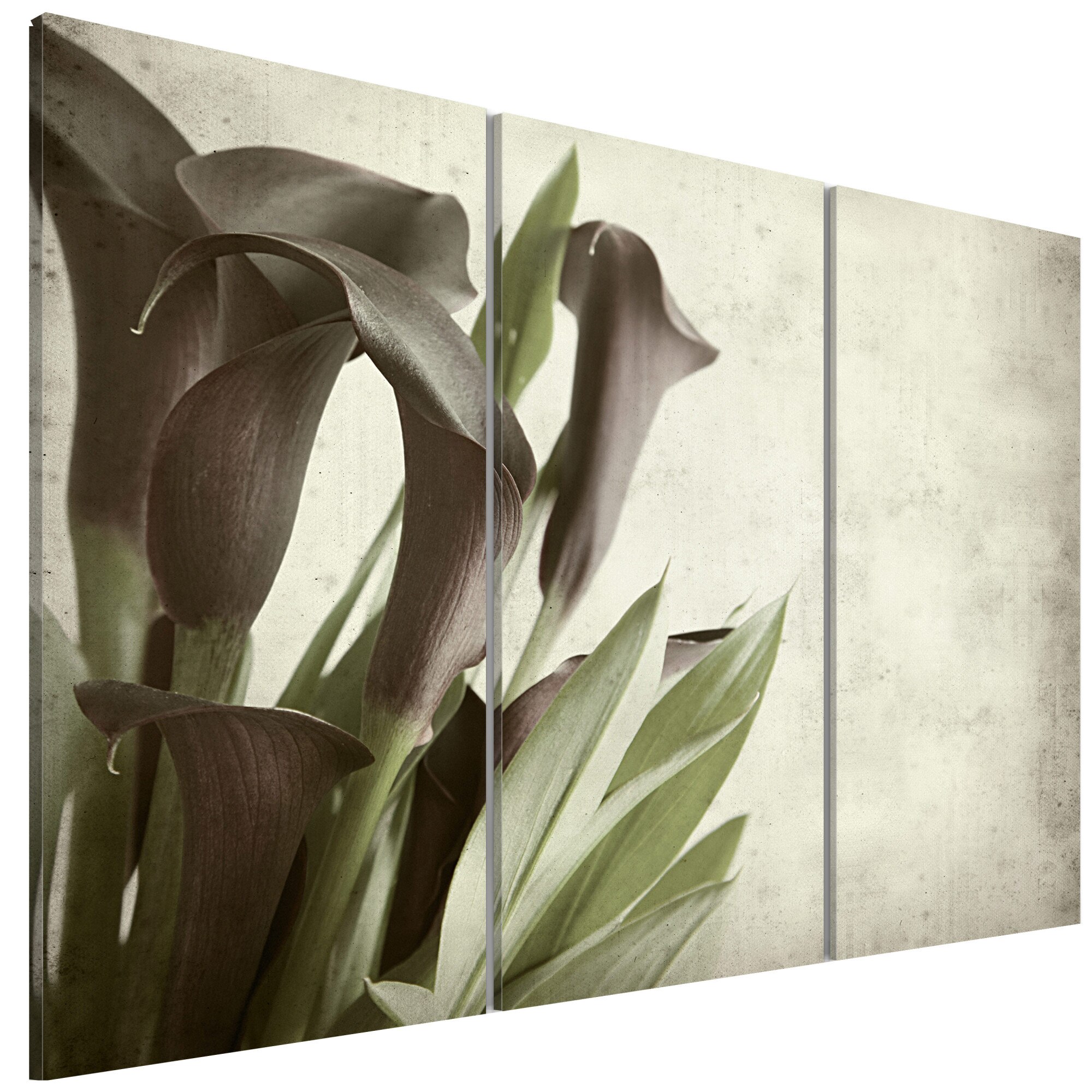 Tablou canvas 3 piese - Callas_vintage - 90 x 60 cm
