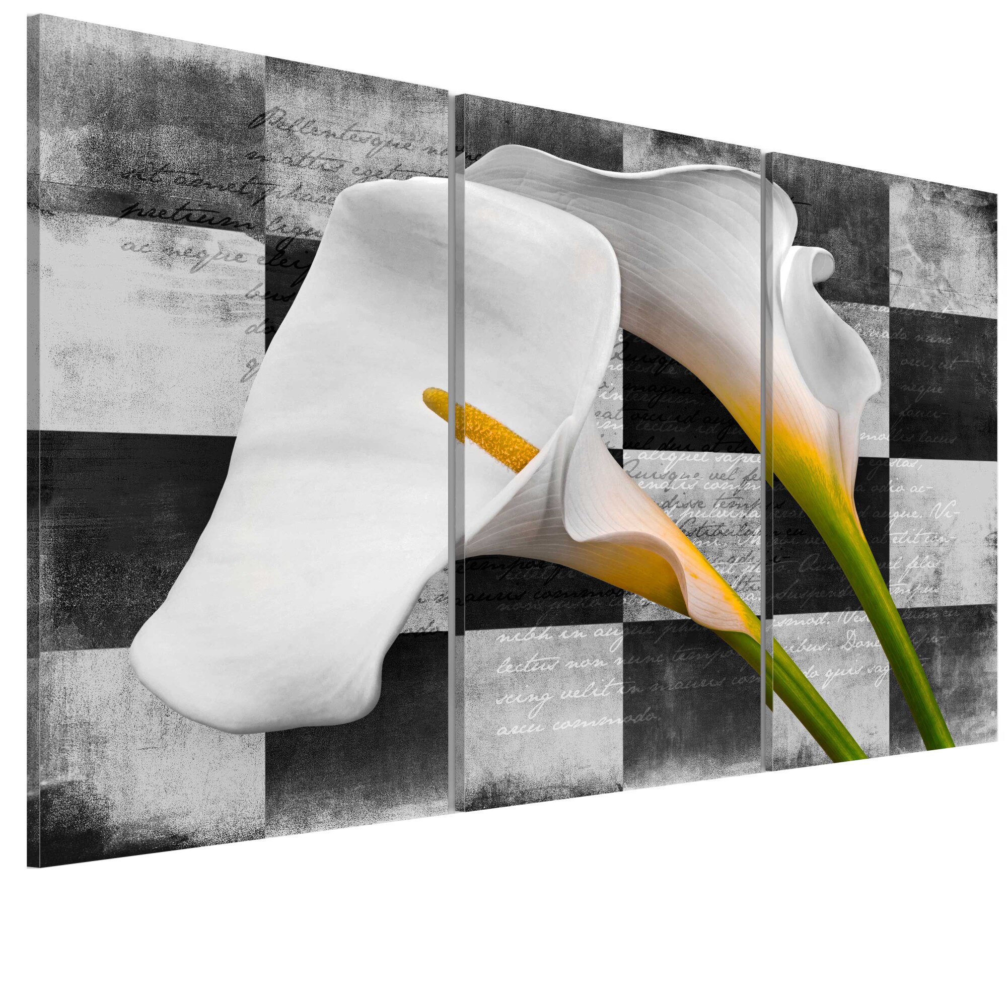 Tablou canvas 3 piese - Callas vintage_90 x 60 cm